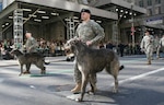 New York Army National Guard Sgt. Patrick Kaley and Sgt. Ryan Diskin parade up Fifth Avenue past Saint Patrick's Cathedral with the Irish Wolfhound mascots of the 1st Battalion, 69th Infantry honor guard during the New York City Parade March 17, 2011.
