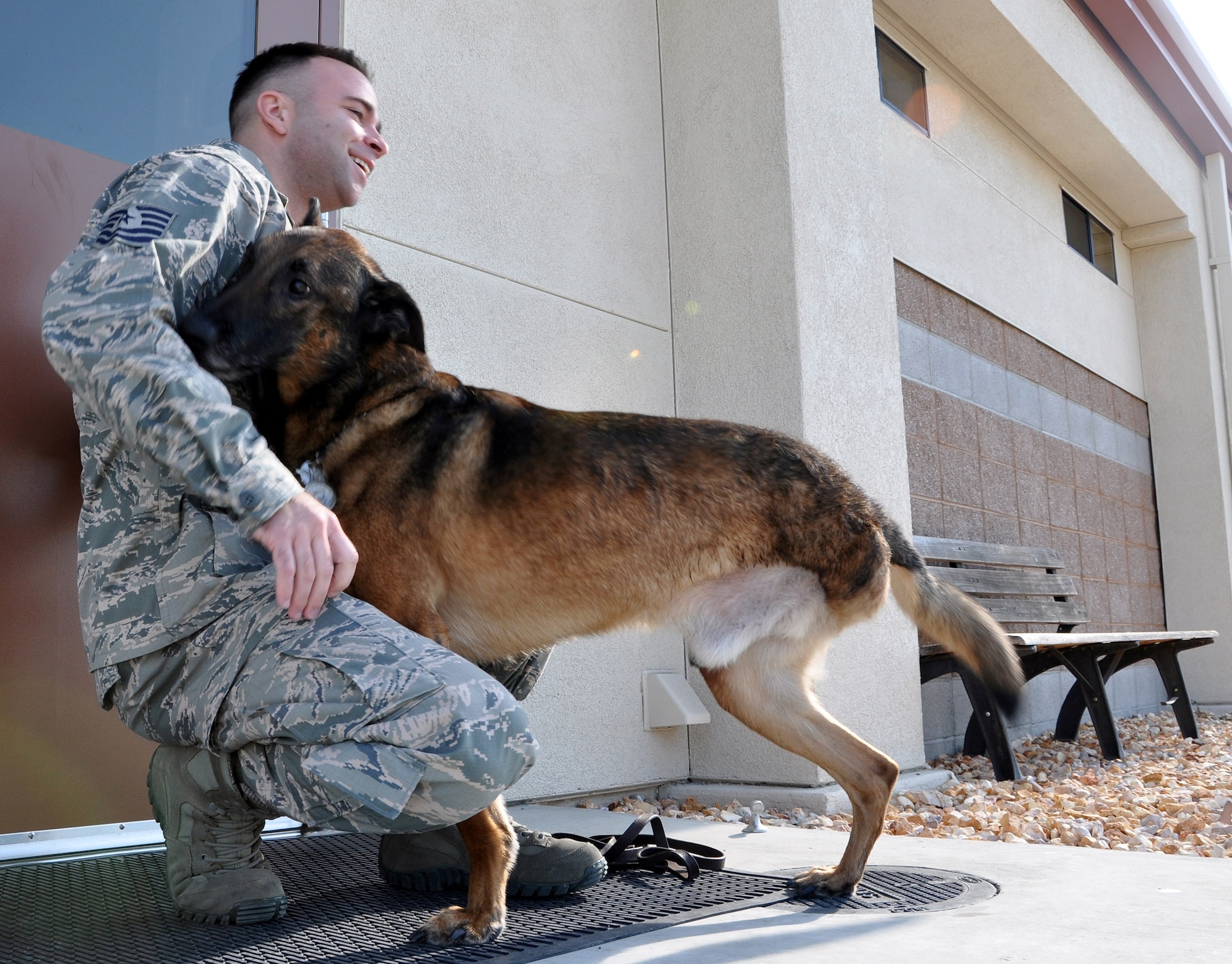 Pepper, a 9-year-old retired Military Working Dog, stands on alert with his owner, Tech. Sgt. Chris Smith at Travis Air Force Base, Calif. Pepper retired after a training injury resulted in a leg amputation. Smith was his handler at the time and adopted Pepper after the surgery. Smith is a kennel master assigned to the 60th Security Forces Squadron. (U.S. Air Force photo/Senior Airman Madelyn Brown)