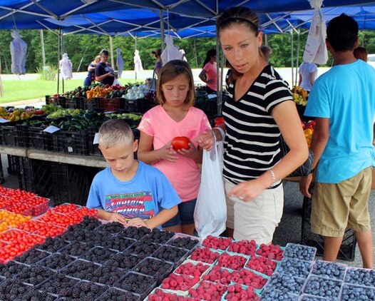 Kara Maddux, military spouse and her children, Grace, 9, and Jacob, 5, browse a table of assorted berries at the grand opening of Quantico’s farmers market Aug. 9, 2013, on the Marine Corps Exchange parking lot aboard the base. 