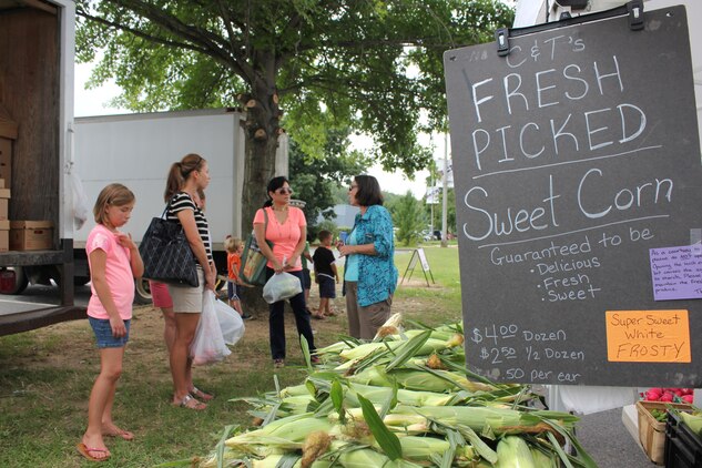 Elizabeth Borst, event organizer and Spotsylvania Farmers Market manager, talks to families during the grand opening of Quantico’s farmers market Aug. 9, 2013, on the Marine Corps Exchange parking lot aboard Marine Corps Base Quantico.