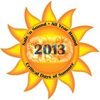Critical Days of Summer logo
