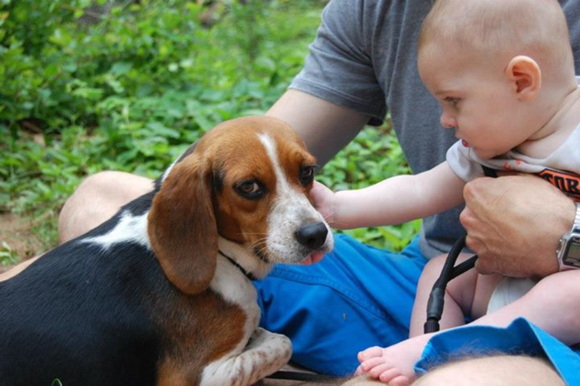 Chloe (dog) sits and plays with Kielan, son of Staff Sgt. Shelby Bird, 20th Force Support Squadron Airman Leadership School instructor, and Tech. Sgt. Christian Bird, U.S. Air Forces Central NCO in charge of the network operations security center, Wedgefield S.C., May 12, 2013.The Birds are involved in rescuing and rehabilitating animals. Chloe is one of the many dogs the Birds have rescued, rehabilitated and helped find a loving home. (Courtesy photo)