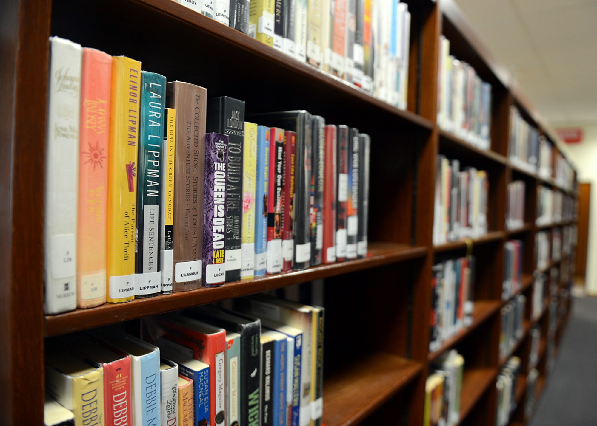 SPANGDAHLEM AIR BASE, Germany – Library books line the Spangdahlem library’s walls Aug. 8, 2013. The library accepts donations in the following mediums: hard-copy books, audio books, DVDs and CDs. (U.S. Air Force photo by Airman 1st Class Gustavo Castillo/Released)