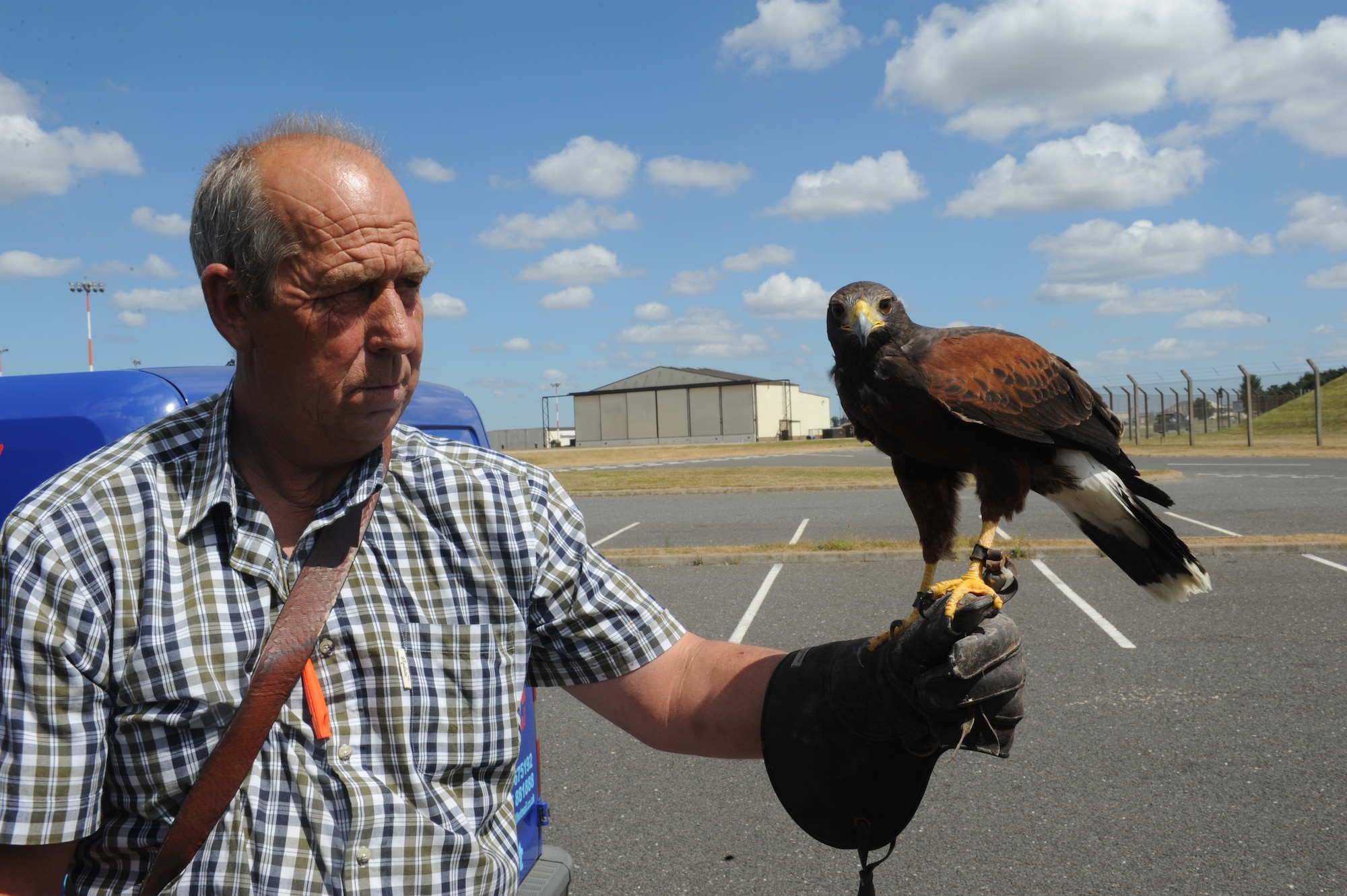 Keith Mutton, owner of Phoenix Bird Control, from Sedge Fen near Brandon, Suffolk, holds Lancaster, a Harris hawk, on his leather-gloved hand July 19, 2013, on RAF Mildenhall, England. Phoenix Bird Control patrols the runways of RAF Mildenhall, RAF Lakenheath and RAF Fairford, and Mutton has worked bird control on the bases for almost 40 years. He has been a falconer for more than 46 years. In addition to the Harris hawk, he owns other hawks, a variety of falcons and Eagle owls, most of which he hand-rears from the egg. (U.S. Air Force photo by Airman 1st Class Preston D. Webb/Released)