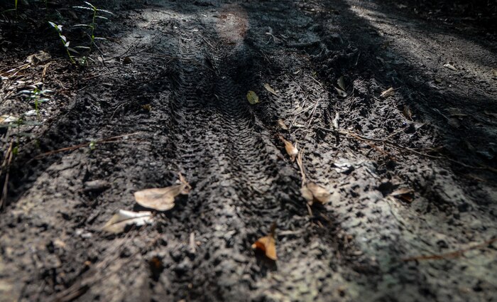 Mountain bike tracks are left in the mud Aug. 11, 2013, at Marrington Plantation on Joint Base Charleston - Weapons Station, S.C. The Marrington trail system is more than 19 miles long and has an average of 6,000 visitors a year. (U.S. Air Force photo/Senior Airman Jared Trimarchi) 