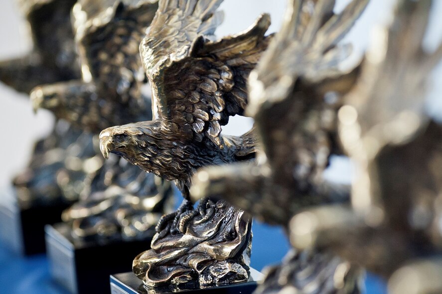 As part of the "Focus on the Force" week, the six Outstanding Airmen of the Year for 2013 are recognized with awards for excellence during the director's all-call event at the ANG Readiness Center, Aug. 14, 2013, at Joint Base Andrews, Md. These Air National Guard Airmen represent Guardsmen
across the 50 states, territories and District of Columbia. Focus on the Force gathers senior enlisted leaders to openly discuss concerns, give feedback from the junior enlisted and tell the exceptional stories of ANG Airmen. (U.S. Air National Guard photo/Master Sgt. Marvin R.Preston)
