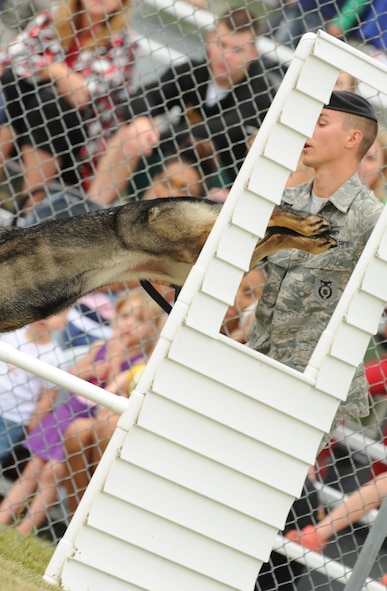 Staff Sgt. Christopher Averill, 5th Security Forces Squadron military working dog handler, instructs 5-year-old German Sheppard Kety to leap through a window obstacle during the 2013 North Dakota Peace Officer Association K-9 Police Trials at Minot Air Force Base, N.D., Aug. 14, 2013. The obstacle course was designed to test the strength, endurance and basic medical knowledge of military and civilian K-9 handlers from across the state. It also served as a way for them to come together and showcase their skills as a team in a friendly yet competitive environment. (U.S. Air Force photo/Airman 1st Class Stephanie Sauberan)