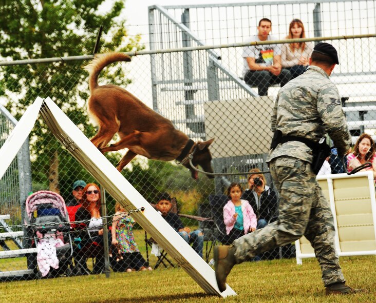 Staff Sgt. David Wyrick, 5th Security Forces military working dog handler, runs with MWD LLegend during a K-9 competition at Minot Air Force Base, N.D., Aug. 14, 2013. Wyrick and MWD LLegend worked as a team to complete the course that included jumps, tunnels and simulated gun fire which the team worked together to complete. (U.S. Air Force photo/Airman 1st Class Andrew Crawford)
