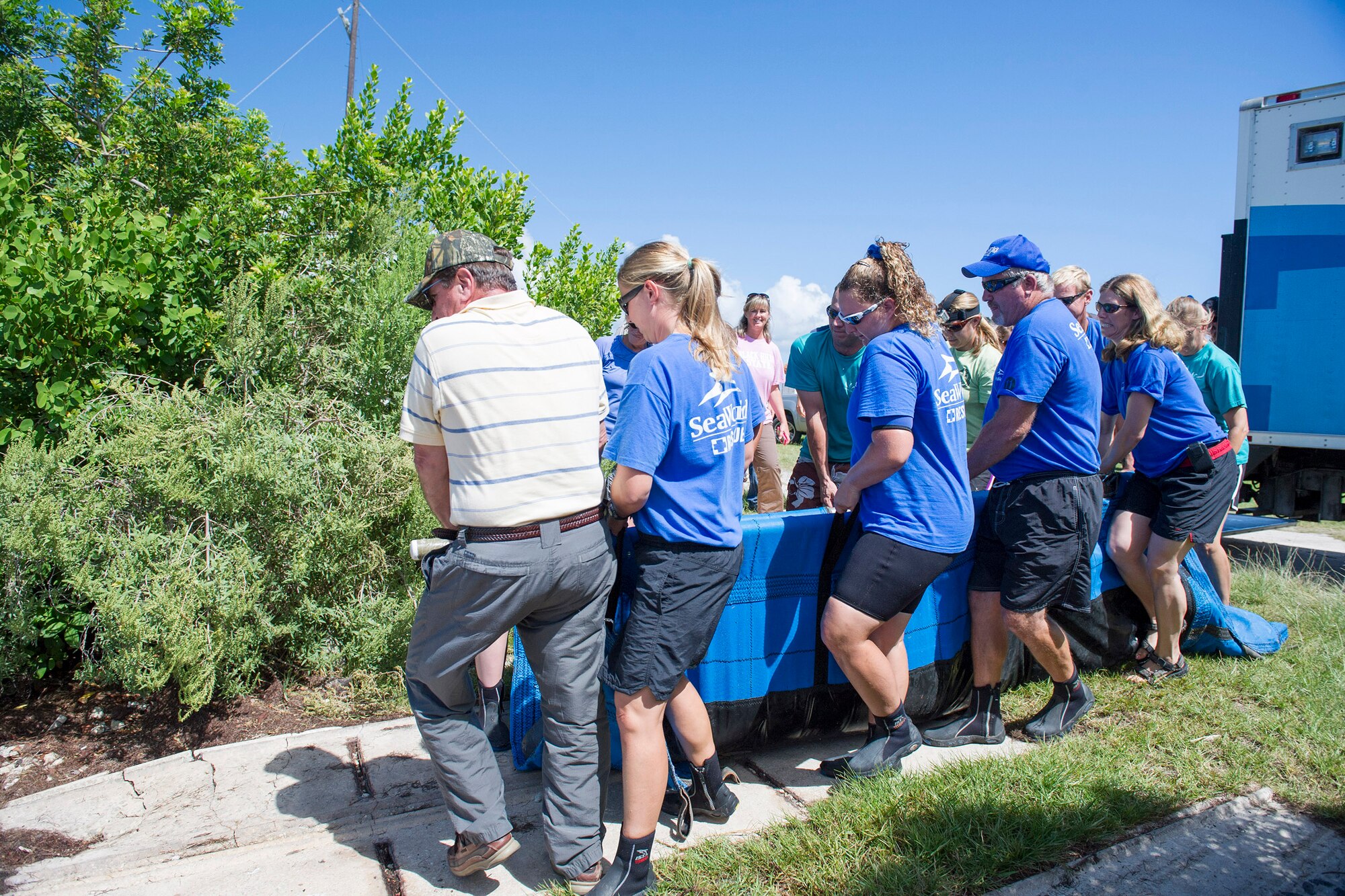 Members of the Florida Fish and Wildlife Conservation Commission, SeaWorld, the Sea-to-Shore Alliance and environmental support contractors from VZ Technologies work together to heave the 4-year-old rehabilitated manatee "Laces" into the Banana River near Cape Canaveral Air Force Station, Fla., Aug. 13, while other members of the 45th Space Wing including Mable O'Quinn, biological scientist, 45th Civil Engineer Squadron, third from the left,
look on. (U.S. Air Force Photo/Matthew Jurgens)