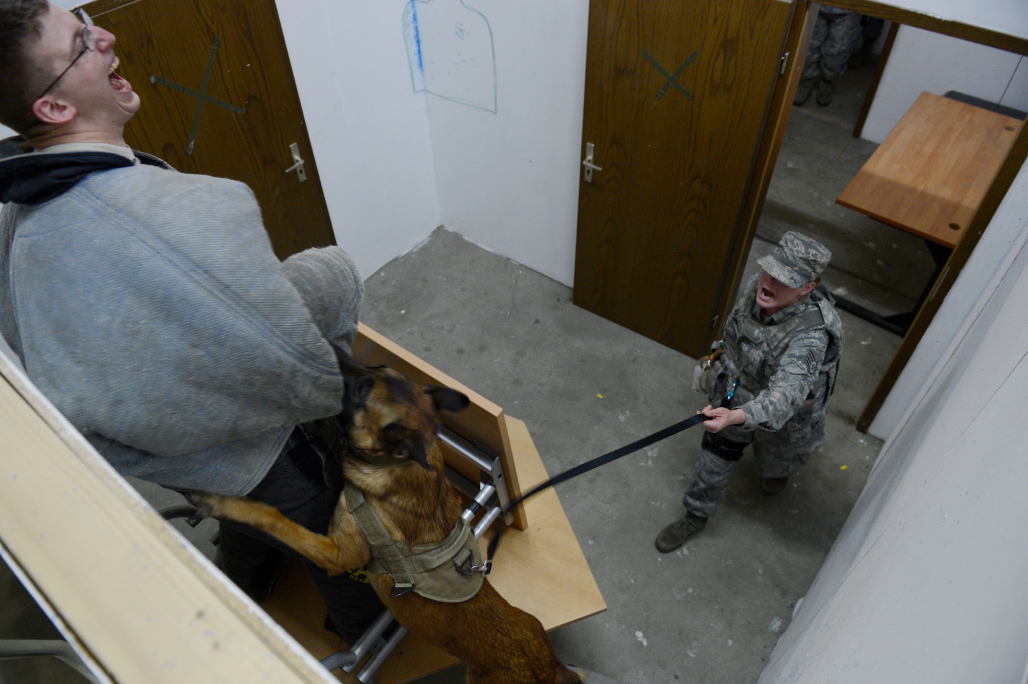 SPANGDAHLEM AIR BASE, Germany -- U.S. Air Force Staff Sgt. Shiloh Bell, 52nd Security Forces Squadron military working dog handler from Vista, Calif., with her military working dog, Blitz, attack USAF Staff Sgt. Calvin Moore, 52nd SFS military working dog handler, from Harrah, Okla., as he acts as an intruder during a K-9 competition between MWD units from Spangdahlem and Ramstein Air Bases Aug. 16, 2013. Team Spangdahlem won overall during the competition. (U.S. Air Force photo by Staff Sgt. Christopher Ruano)