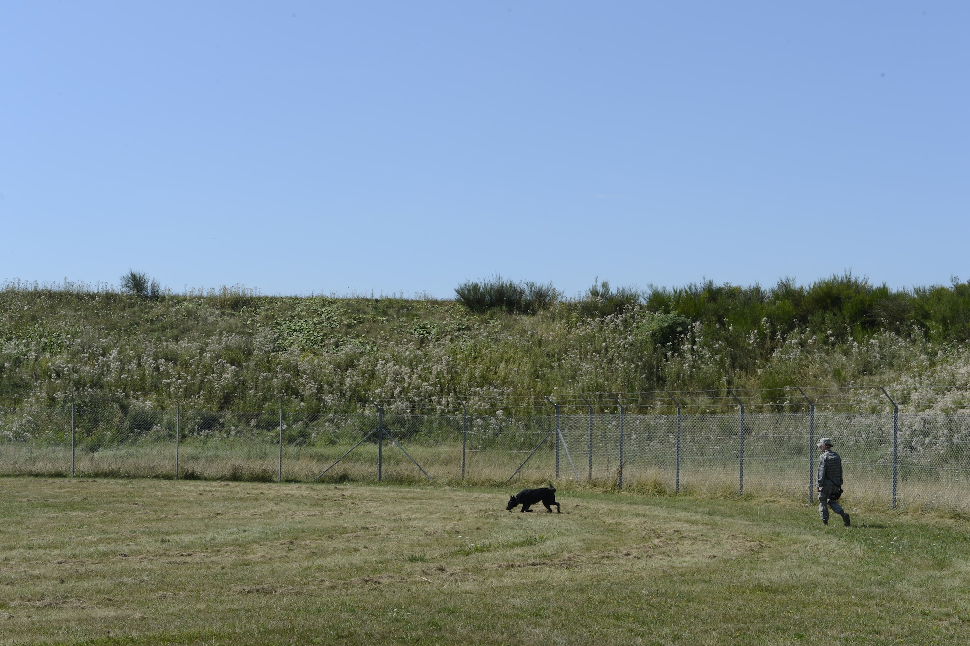 SPANGDAHLEM AIR BASE, Germany -- U.S. Air Force Staff Sgt. Christel Gill, 52nd Security Forces Squadron military working dog handler from Flagler Beach, Fla., and her military working dog, Egra, conduct a cursory search during a K-9 competition between MWD units from Spangdahlem and Ramstein Air Bases Aug. 16, 2013. The course is designed to test each team’s ability in detection, aggression, building searches, and life saving ability through field medical skills. (U.S. Air Force photo by Staff Sgt. Christopher Ruano)