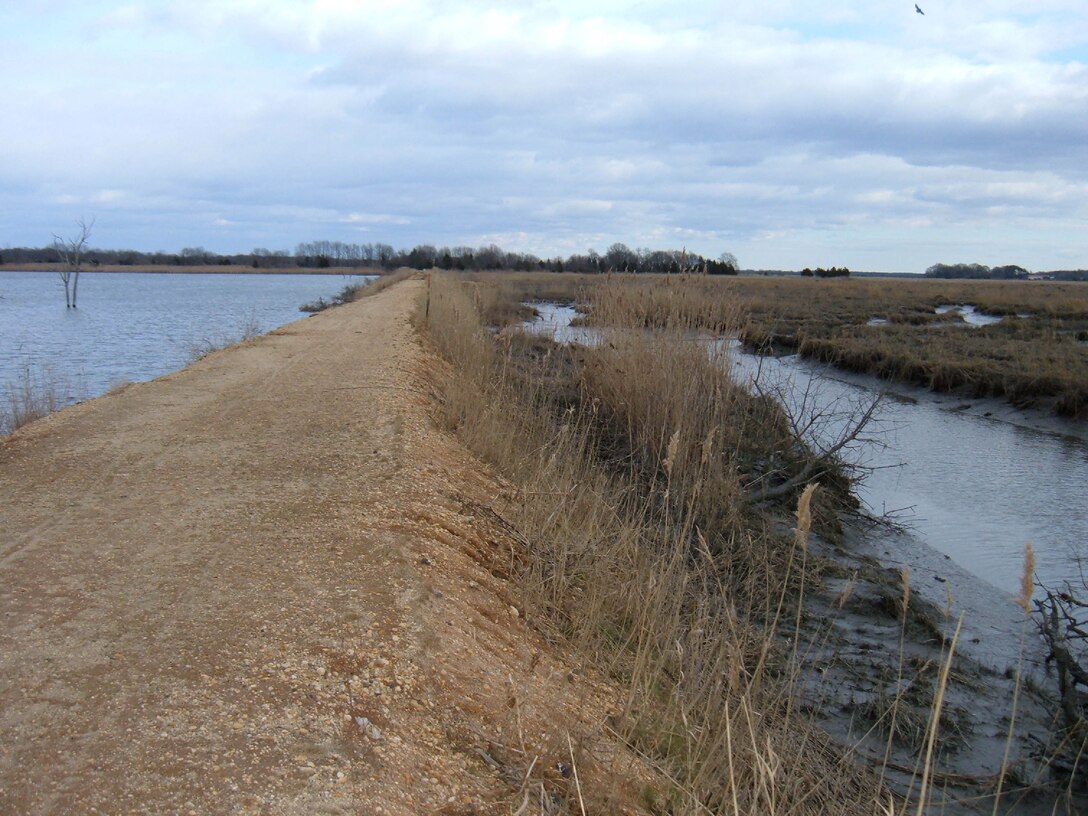 The Pine Mount Creek/Mill Creek Habitat Restoration aims to restore the environment by providing a high quality wildlife management area for the New Jersey Division of Fish & Wildlife. Project focus includes the repair of a dike at the mouth of Mill Creek.