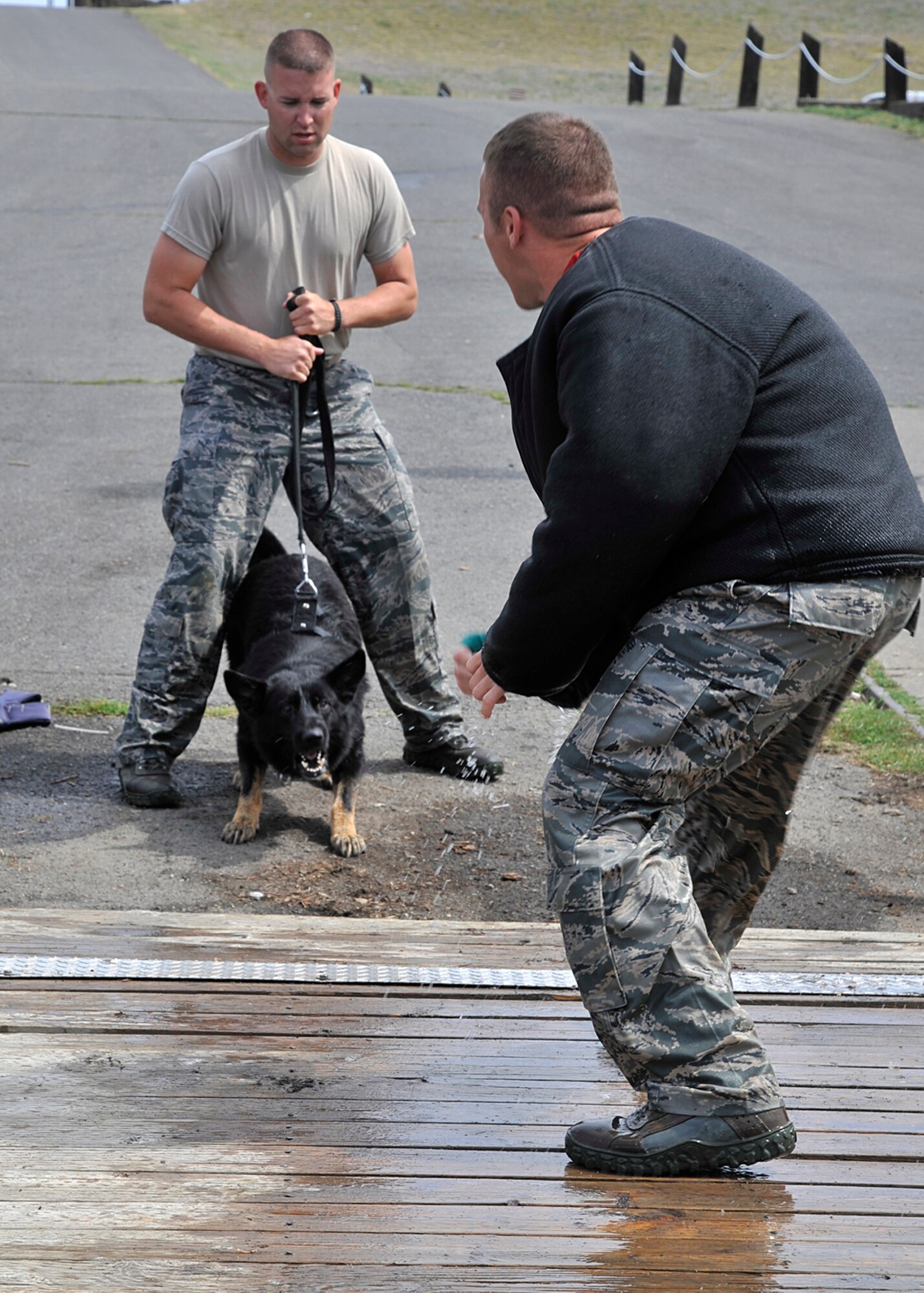 Staff Sgt. Justin Leon-Guerrero, 92nd Security Forces Squadron military working dog handler, simulates a threatening decoy for MWD Rosso and handler Staff Sgt. Brett Meyers during a training exercise at Clear Lake Resort in Cheney, Wash., Aug. 16, 2013. Once initially trained in the basics, it is up to the trainers and handlers to advance the dogs further by role-playing different scenarios and working in different environments. (U.S. Air Force photo by Senior Airman Mary O'Dell/Released)