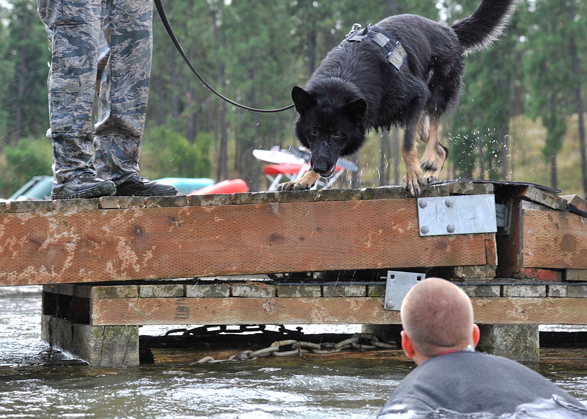 Military working dog Rosso, 92nd Security Forces Squadron, prepares to lunge into the water during bite training at Clear Lake Resort in Cheney, Wash., Aug. 16, 2013. The military working dog trainers give different scenarios to the dog team to get them thinking and keep them mission ready. (U.S. Air Force photo by Senior Airman Mary O'Dell/Released)