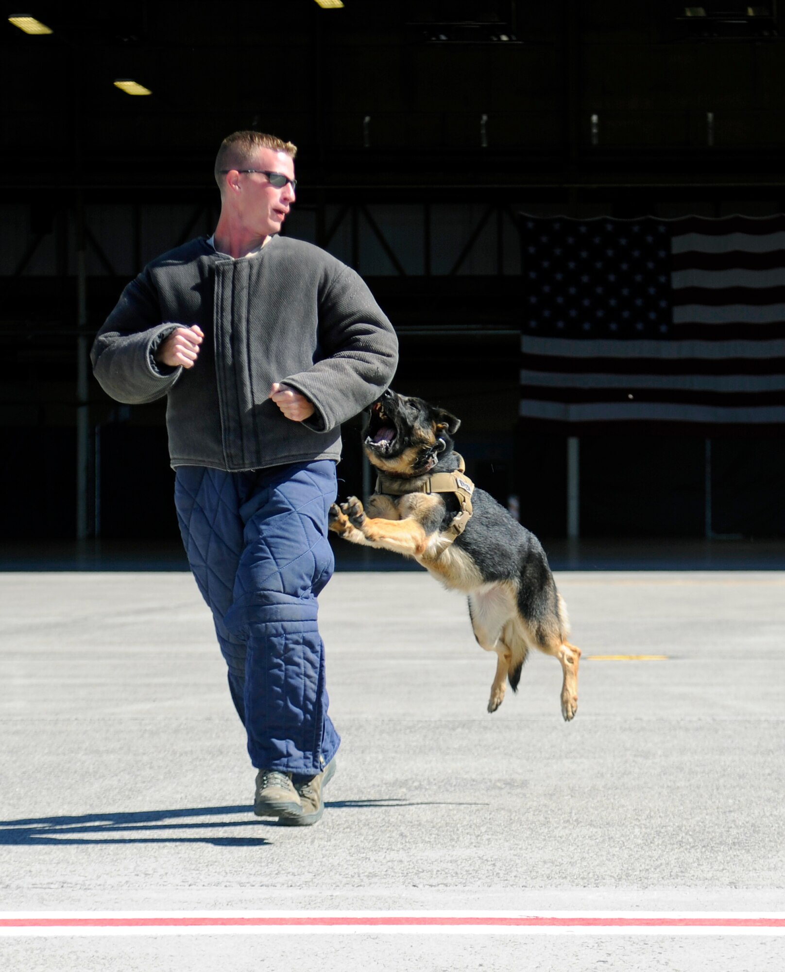 Staff Sgt. Justin Benfer, 92nd Security Forces Squadron military working dog handler, acts as an aggressor during the military working dog demonstration at the Family Recognition Day event at Fairchild Air Force Base, Wash., Aug. 19, 2013. The purpose of the event was to allow families to see what Team Fairchild does on a daily basis. (U.S. Air Force photo by Airman 1st Class Ryan Zeski/Released)