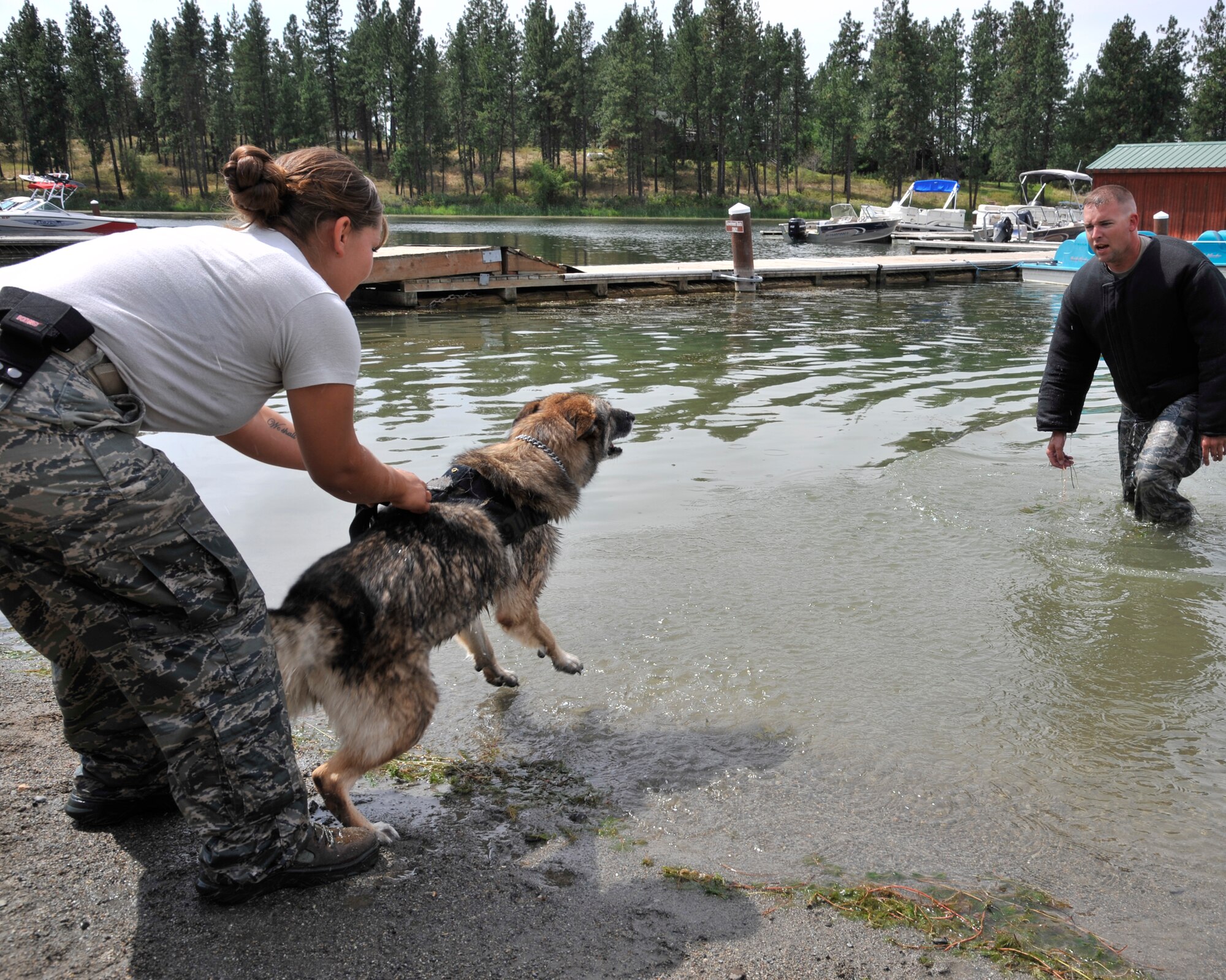 Staff Sgt. Adrianne Ramos, 92nd Security Forces Squadron military working dog handler, prepares to release her dog, Helena, during a bite training exercise at Clear Lake Resort in Cheney, Wash., Aug. 16, 2013. MWD handlers try to keep training as realistic as possible so if a situation arises, the handler and dog have the confidence to perform and be mission ready. (U.S. Air Force photo by Senior Airman Mary O'Dell/Released)