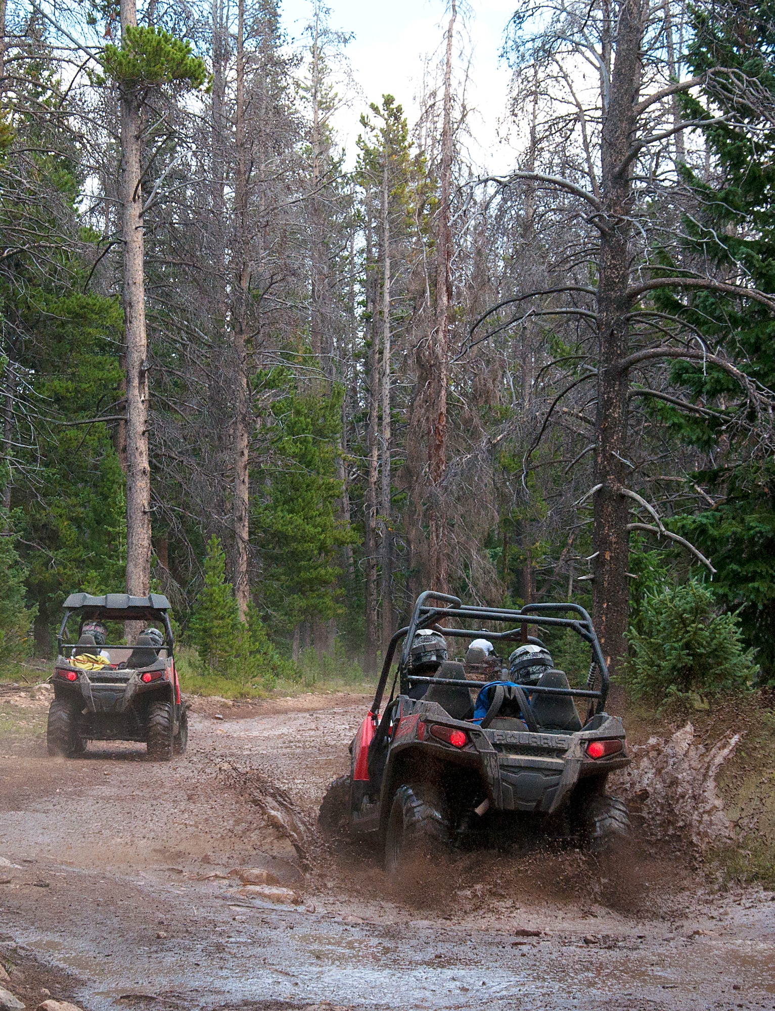 130817-F-GZ967-054 Tonya Stott and her son drive one of Albany Lodge’s rented ATVs through some mud on the trails in Albany Lodge, Albany, Wyo. They were on an Outdoor Recreation adventure to Albany Lodge as part of the F.E. Warren Air Force Base, Wyo., Outdoor Adventures Program ATV trip. (U.S. Air Force photo by Airman 1st Class Brandon Valle)