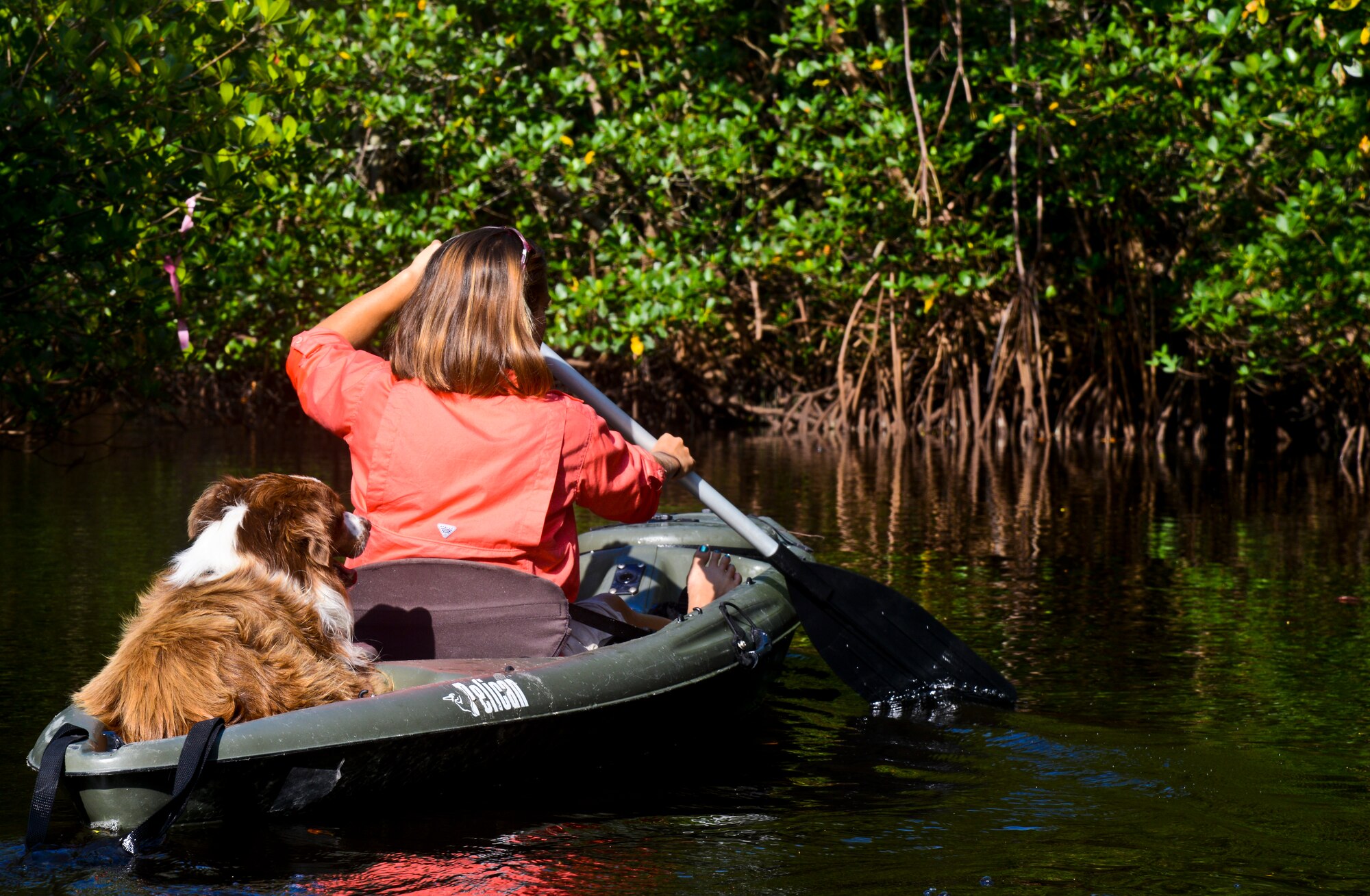 Lindsey Garven, ecologist and 6th Air Mobility Wing Bird/Wildlife Aircraft Strike Hazard manager, surveys for environment activity with her assistant Tango, a wildlife chasing border collie, at MacDill Air Force Base’s Fla., Aug. 12, 2013. Garven and Tango kayak the mangrove areas of MacDill in order to track wildlife migratory patterns. (U.S. Air Force Photo by Staff Sgt. Brandon Shapiro/Released)