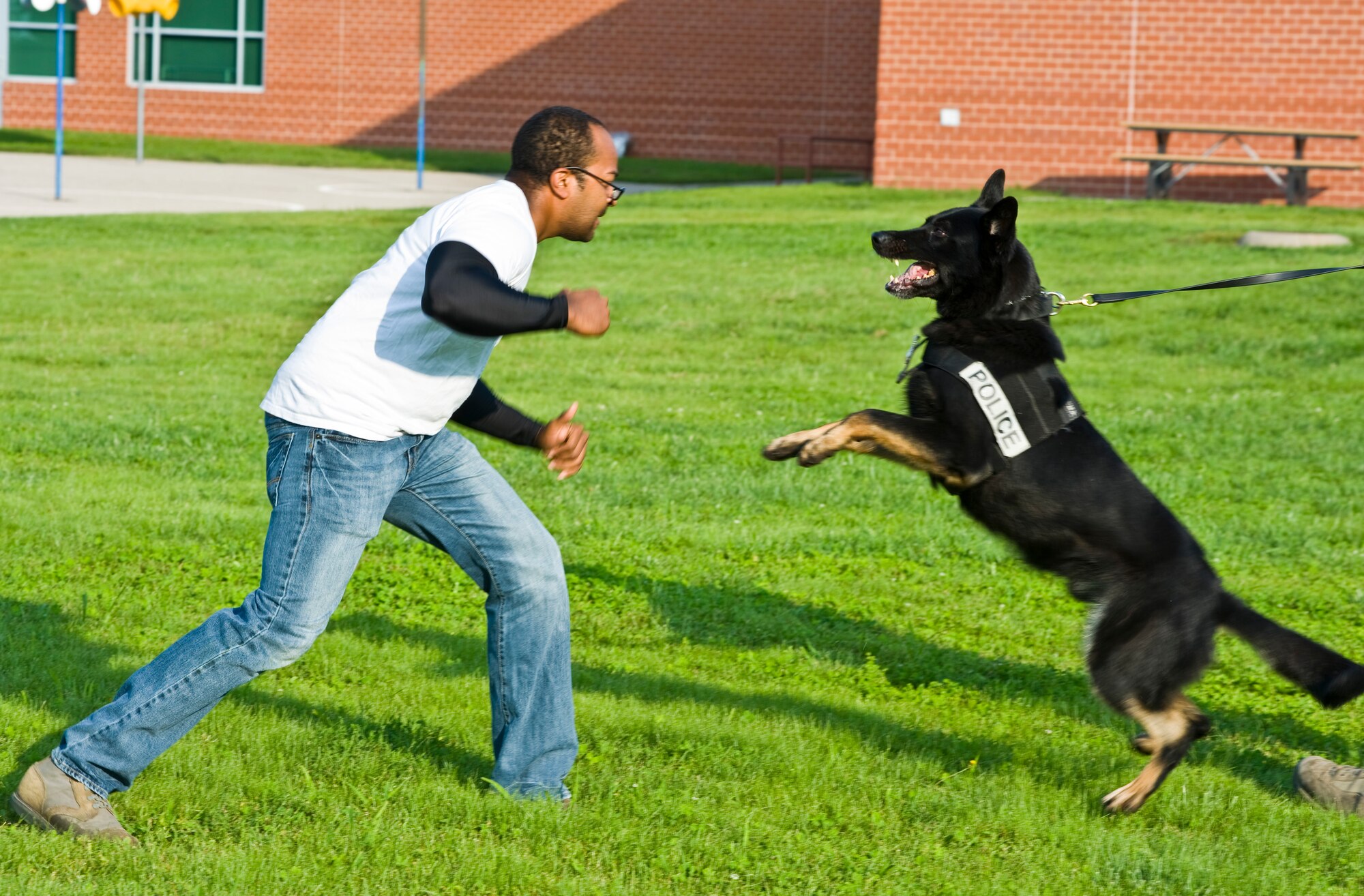 Senior Airman Timothy Fenderson, 22nd Security Forces Squadron military working dog handler, simulates civil aggression with Don, MWD, Aug. 17, 2013, at Park Hill Elementary School, Derby, Kan. MDWs are trained to attack and also withdraw from an attack at a moment’s notice when commanded by its handler. The Air Force demonstrated the capabilities of MWDs to strengthen psychological deterrence against crime. (U.S. Air Force photo/Airman 1st Class John Linzmeier)