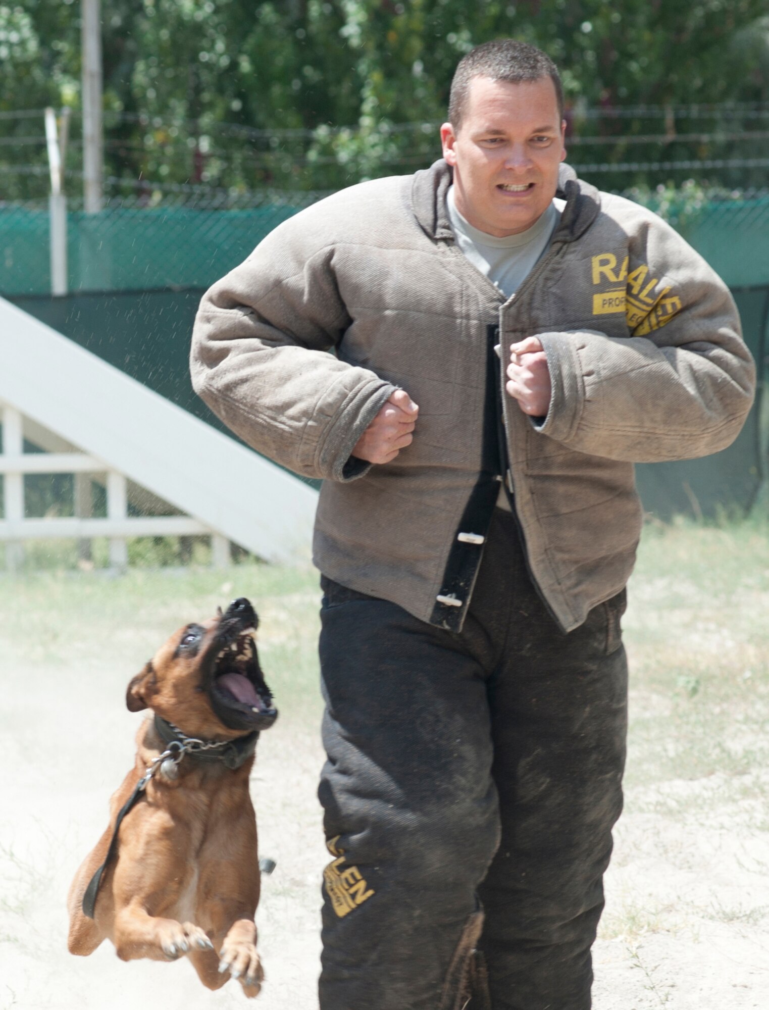 Tech. Sgt. John Baltz trains with 376th Expeditionary Security Forces Squadron working dogs at Transit Center at Manas, Kyrgyzstan, July 11, 2013. Baltz is a chaplain assistant serving with the 376th Air Expeditionary Wing chapel. (U.S. Air Force photo/Staff Sgt. Robert Barnett)