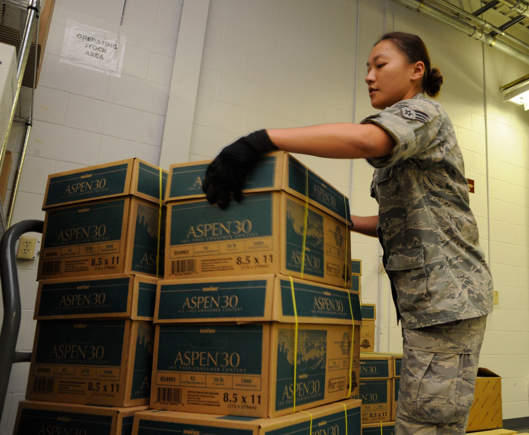 Senior Airman Evalin Zhao, 2nd Medical Support Squadron medical logistics technician, places boxes of paper on a pallet on Barksdale Air Force Base, La., Aug. 21, 2013. Along with receiving supplies and equipment, medical logistics Airmen also deliver supplies to the various sections of the medical clinic. (U.S. Air Force photo/Airman 1st Class Andrew Moua)