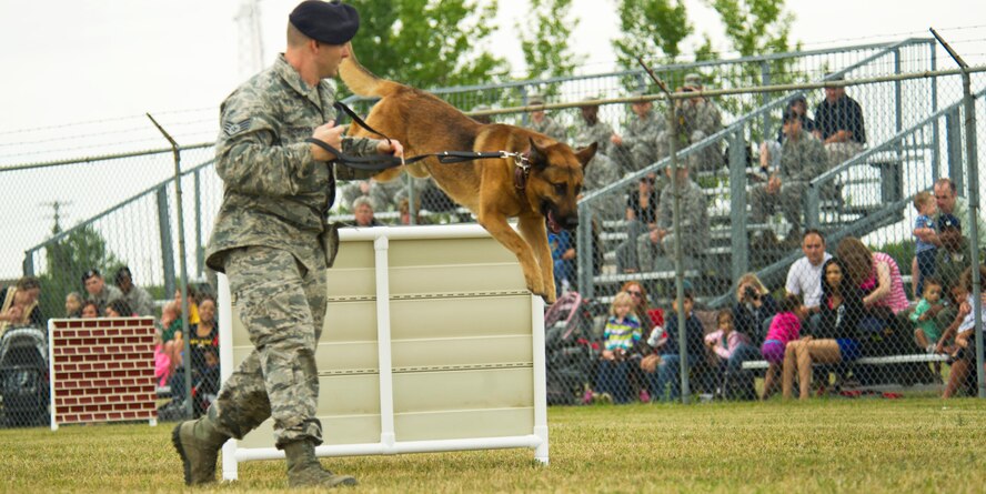 Staff Sgt. Rocky Thompson, 319th Security Forces Squadron military working dog kennel master, leads K-9 Aron over an obstacle during the 2013 North Dakota Peace Officer Association K-9 Police Trials at Minot AFB, N.D., Aug. 14, 2013. The competition brought police, military and security K-9 teams from around the state together in a friendly yet competitive environment. (U.S. Air Force photo/Senior Airman Brittany Y. Auld)