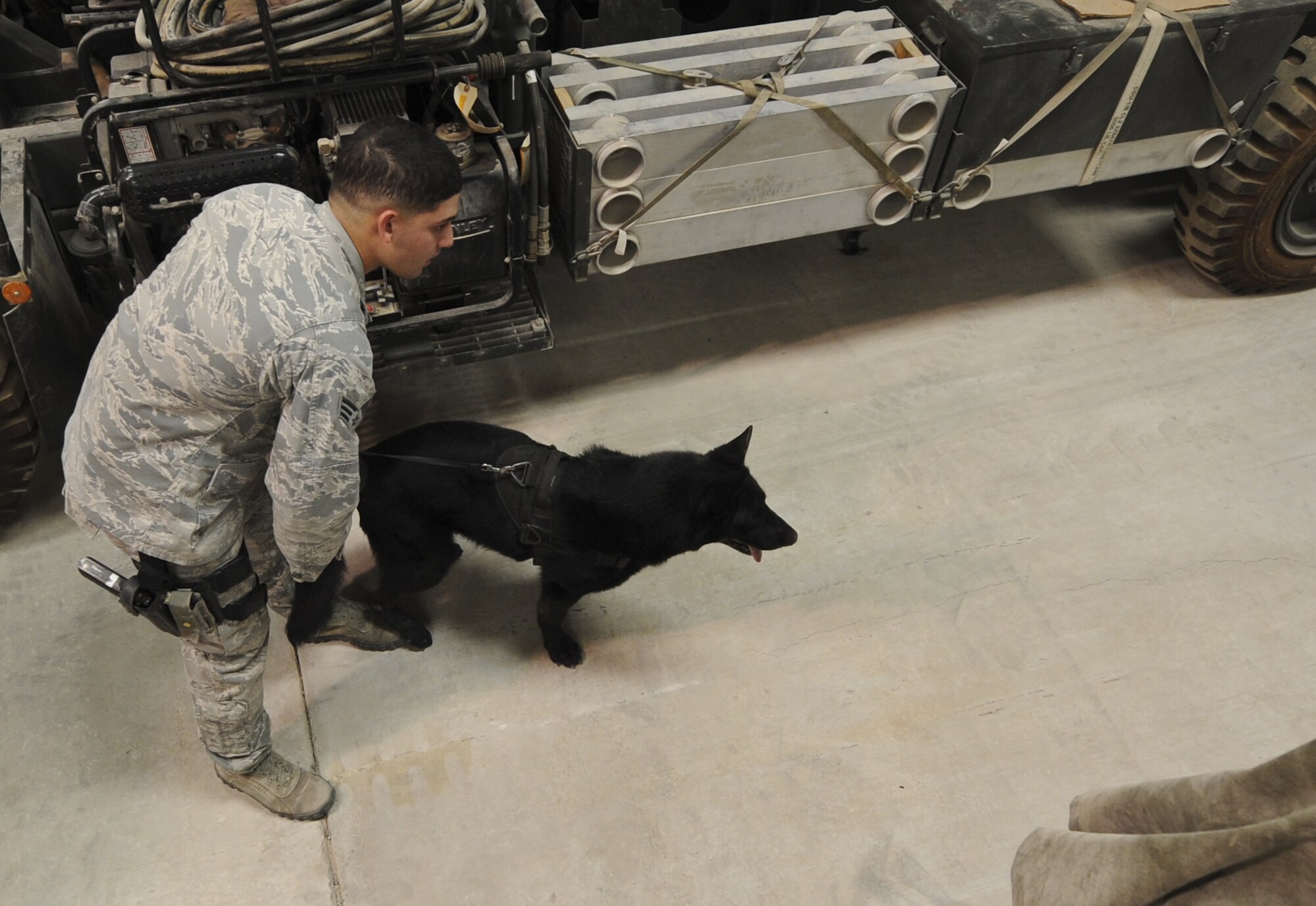 U.S. Air Force Senior Airman Daniel Alvarez, 380th Expeditionary Security Forces Squadron military working dog handler, and his MWD, Lola, search for explosives or narcotics in a warehouse at an undisclosed location in Southwest Asia Aug. 8, 2013. The training was designed to test the MWD’s senses for detecting explosives or narcotics in different quantities. Alvarez and Lola are deployed from Moody Air Force Base, Ga., and Alvarez calls Northridge, Calif., home. (U.S. Air Force photo by Staff Sgt. Jacob Morgan)