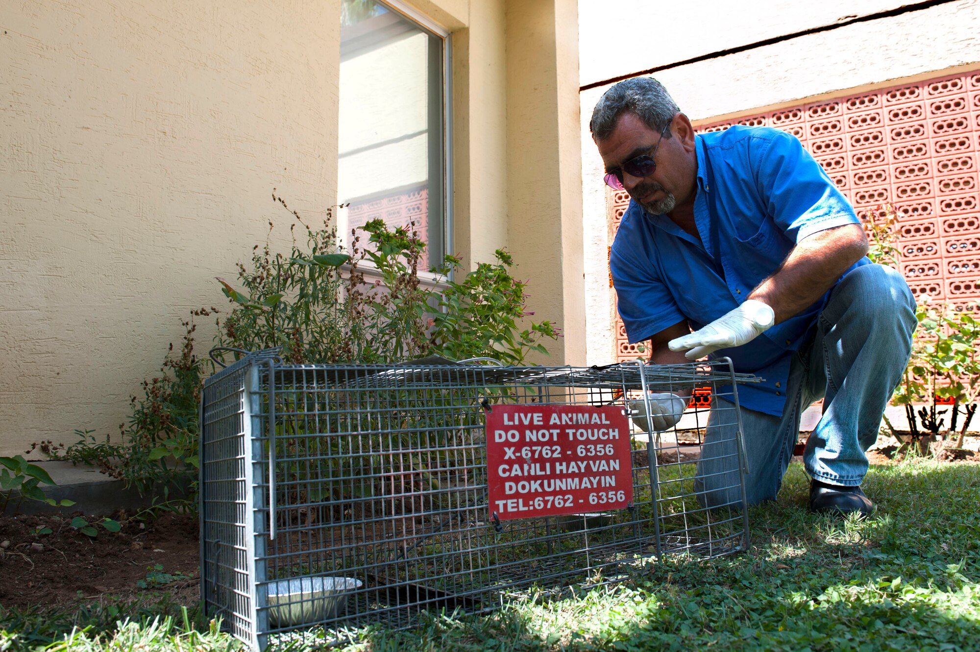 Foruk Yagmur, 39th Civil Engineer Squadron entomologist labor operator, sets a trap for a stray cat Aug. 19, 2013, at Incirlik Air Base, Turkey. Stray animals pose a large threat to humans in residential neighborhoods, dormitories and to safety of airfield operations.  (U.S. Air Force photo by Airman 1st Class Nicole Sikorski/Released) 