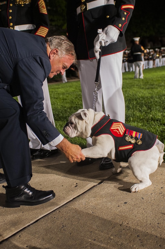 The Honorable Kim Beazley, ambassador of Australia to the U.S., greets Sgt. Chesty XIII, U.S. Marine Corps mascot, after a Friday Evening Parade at Marine Barracks Washington, D.C., Aug. 23. (Official Marine Corps photo by Lance Cpl. Dan Hosack/Released)