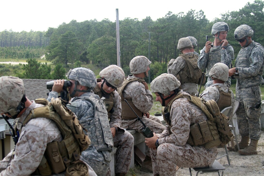 10th Marines, Anglico join forces for training