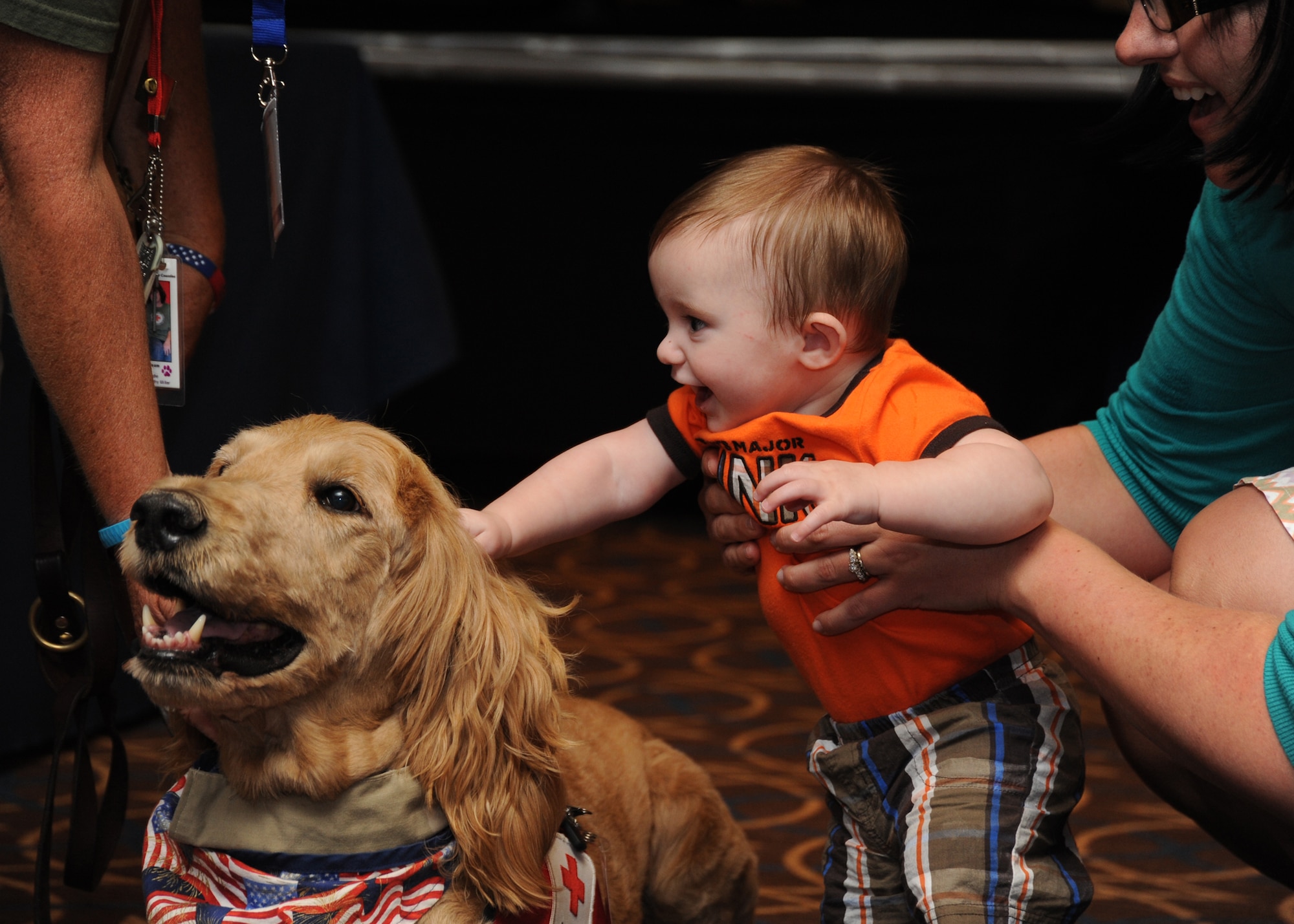 Peyton Taylor, son of Capt. Lee Taylor, a flight nurse with the 36th Aeromedical Evacuation Squadron, pets Gus, an American Red Cross therapy dog during a Yellow Ribbon Program event in Arlington, Va., on Aug. 23, 2013.   The Air Force Yellow Ribbon Program provides Reserve members and their families with information, services, referrals, and proactive outreach opportunities throughout the deployment cycle.  (U.S. Air Force photo by Tech. Sgt. Peter R. Miller).