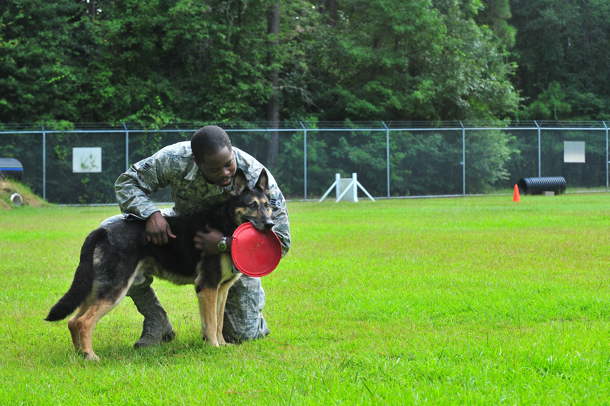 U.S. Air Force Senior Airman Rayshawn Taylor, 4th Security Forces Squadron Military Working Dog (MWD) handler, embraces his dog Charlie, 4th SFS MWD, while playing Frisbee at Seymour Johnson Air Force Base, N.C., Aug. 21, 2013. Charlie, a 10-year-old German Shepherd and Purple Heart recipient, was retired from active duty after 10 years of service. The pair was partnered for more than a year before Charlie’s retirement. (U.S. Air Force photo by Senior Airman Aubrey White/Released)