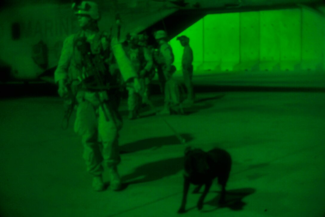 As seen through a night-vision device, U.S. Marines, their military working dog and Afghan national security forces exit a CH-53E Super Stallion helicopter after an operation on Camp Bastion in Helmand province, Afghanistan, Aug. 22, 2013.