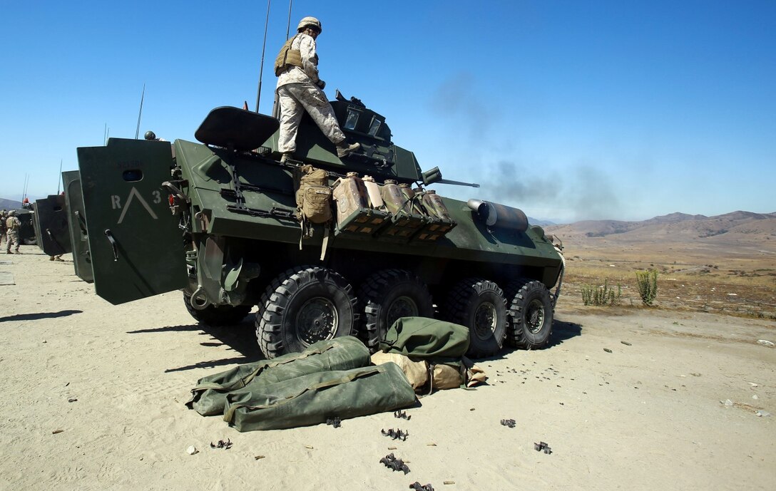 Marines serving with Alpha Company, 1st Light Armored Reconnaissance Battalion, fire the M242 Bushmaster chain gun during a training exercise here, Aug. 20, 2013. The purpose of the exercise was to cross train the riflemen serving with 1st LAR on the weapons systems of the light armored vehicle. The riflemen serve as scouts for the battalion and also provide close-combat support.