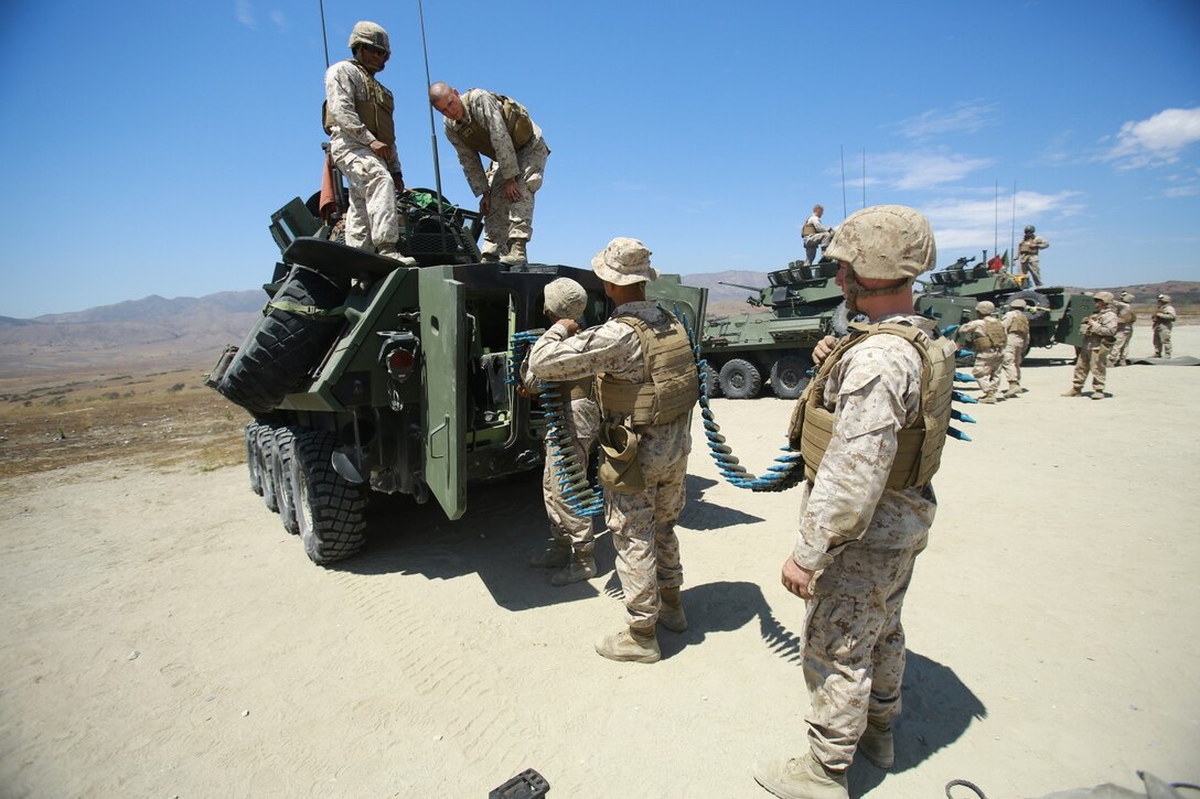 Marines serving with Alpha Company, 1st Light Armored Reconnaissance Battalion, load 25 mm rounds into the M242 Bushmaster machine gun during a training exercise here, Aug. 20, 2013. The purpose of the exercise was to cross train the riflemen serving with 1st LAR on the weapons systems of the light armored vehicle. The riflemen must know how to operate and maintain the light armored vehicles' weapons systems in preparation for future combat operations.
