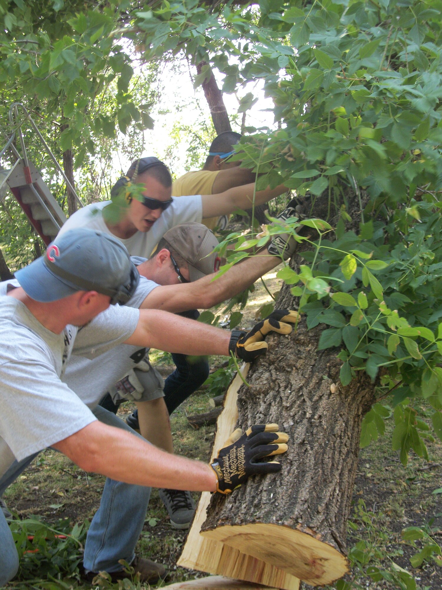 Four volunteers from Grand Forks Air Force Base, N.D., work together to safely tip over a large tree as part of a volunteer effort to provide the community of Emerado, N.D., with some much needed landscaping at Seebart Park on Aug. 24, 2013. The base volunteers sawed, clipped, dragged and tossed about two dozen trees, and removed at least five truckloads of brush during four hours of work in temperatures hovering around 90 degrees Fahrenheit. (U.S. Air Force photo/Staff Sgt. Luis Loza Gutierrez)

