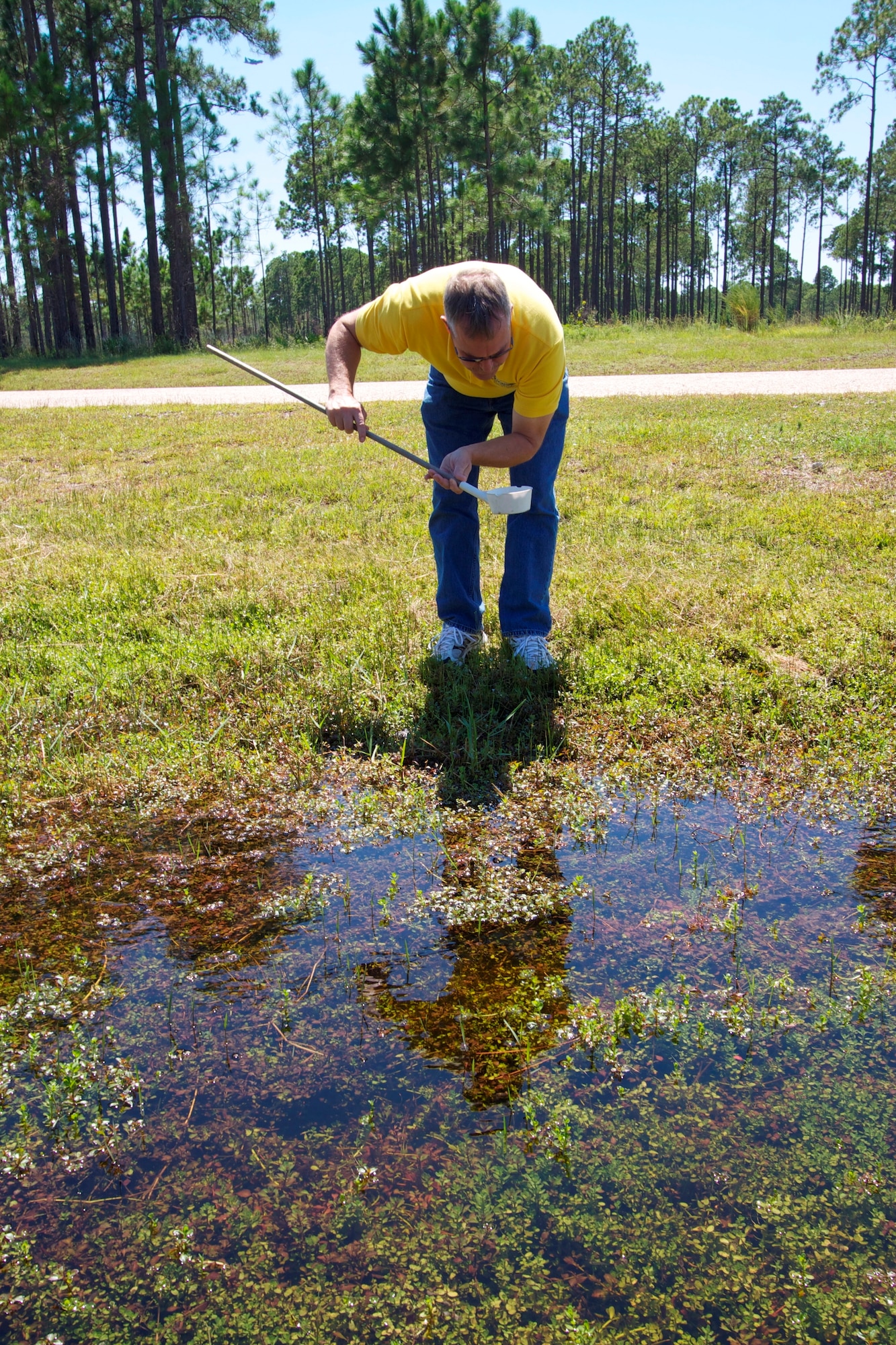 TYNDALL AIR FORCE BASE, Fla. – Don Teig, Air Force pest management subject matter expert at the Air Force Civil Engineer Center, checks for mosquito larvae at the Silver Flag training facility here. The pest management professionals at AFCEC help manage all types of pests from mosquitoes to bacteria across the Air Force. (U.S. Air Force photo/Eddie Green)