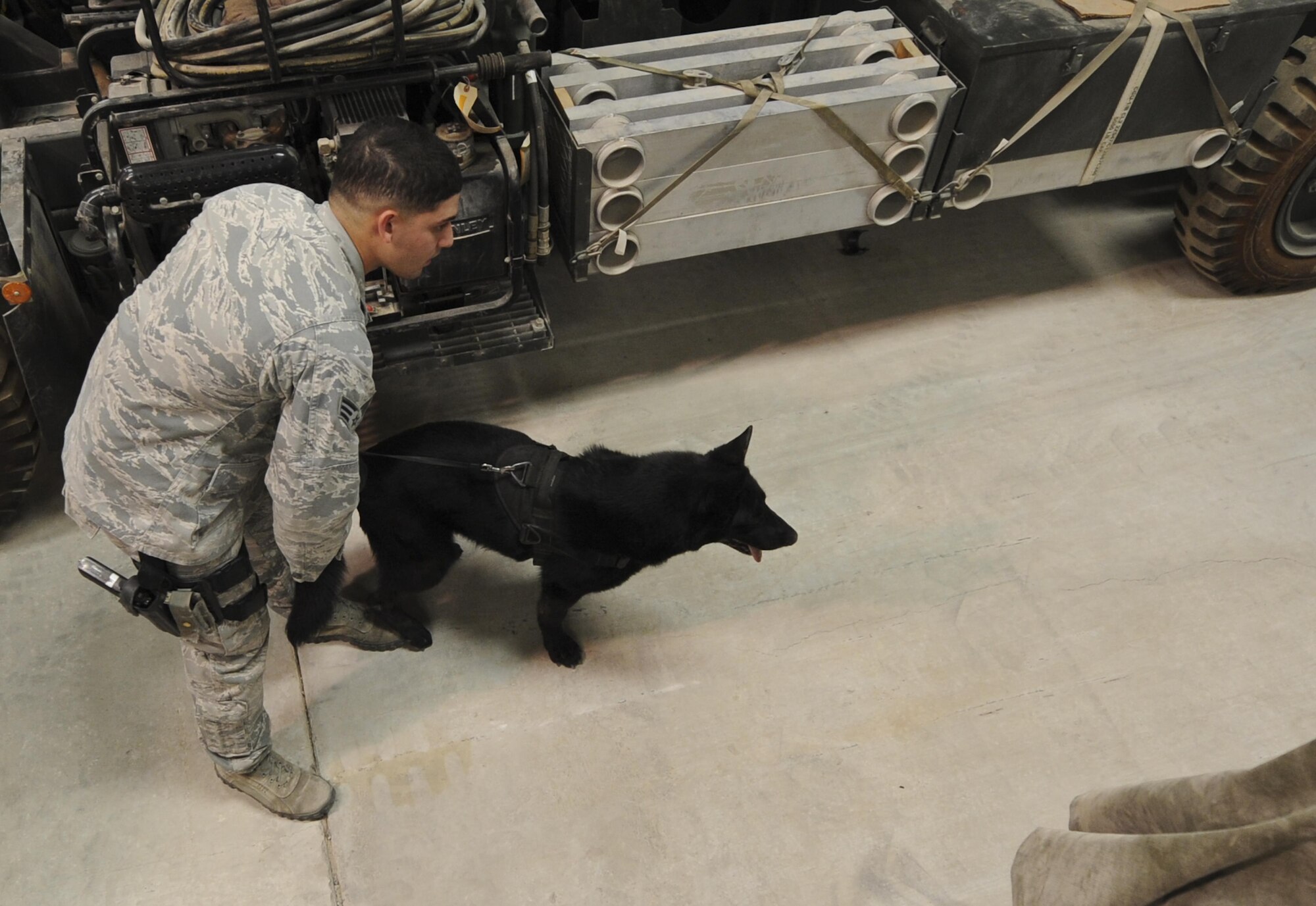 Senior Airman Daniel Alvarez, 380th Expeditionary Security Forces Squadron military working dog handler, and his MWD, Lola, search for explosives or narcotics in a warehouse at an undisclosed location in Southwest Asia Aug. 8, 2013. The training was designed to test the MWD’s senses for detecting explosives or narcotics in different quantities. Alvarez and Lola are deployed from Moody Air Force Base, Ga., and Alvarez calls Northridge, Calif., home.