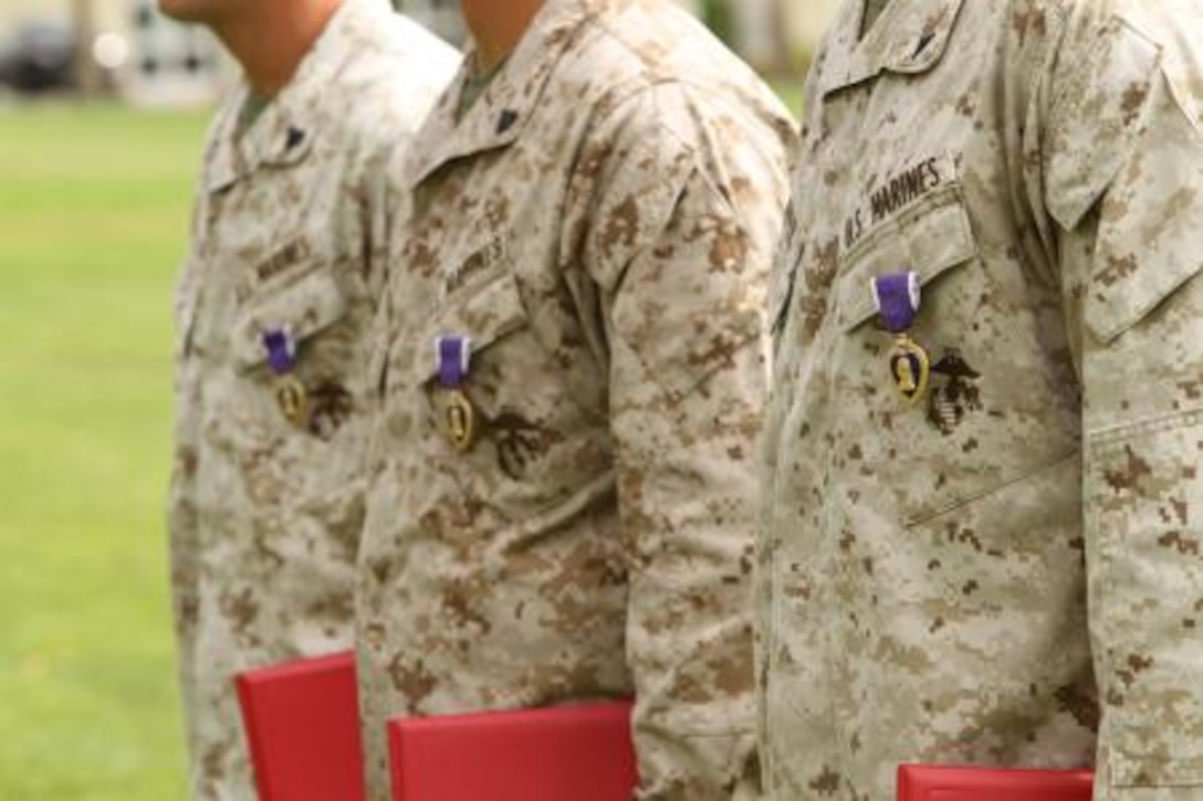 Lance Cpl. Colin Schafer, Lance Cpl. Phillip Cutler and Cpl. Samuel Robertson, infantrymen, 2nd Battalion, 7th Marine Regiment, were awarded with Purple Hearts at Lance Cpl. Torrey L. Gray Field Aug 26, 2013. The Marines earned the medals for their actions while deployed to Afghanistan in support of Operation Enduring Freedom. Robertson’s mine resistant, ambush-protected vehicle was hit by an 80-pound improvised explosive device Feb. 2. Cutler and Schafer were also hit by I.E.D’s while riding in an MRAP March 24. “The Purple Heart was established by Gen. George Washington and is a very respected medal,” Smith said. “We have a lot of good Marines in this unit and we will continue to do what we are trained to do.”