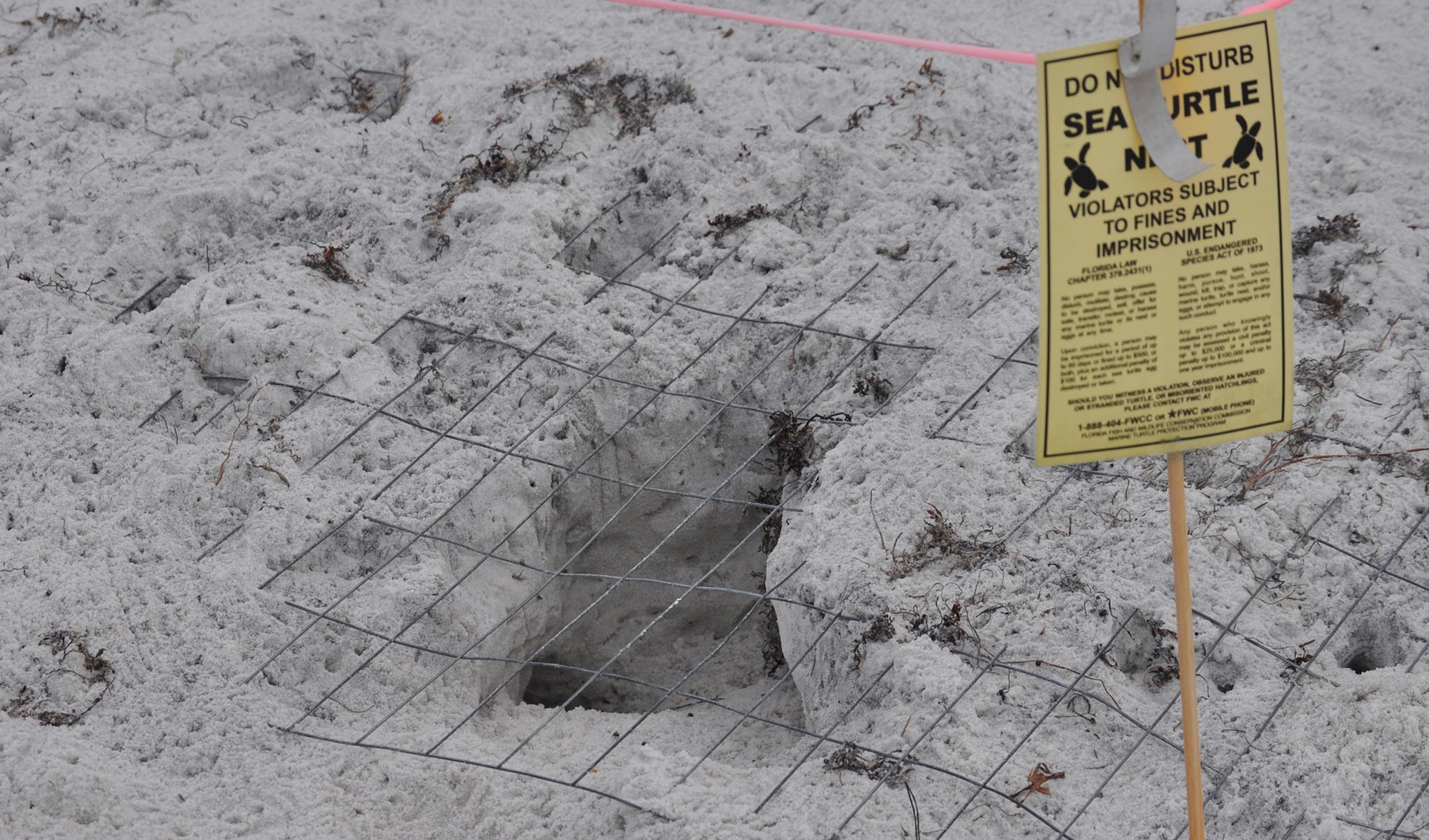 Sign, stakes, tape and wire screen protects a sea turtle nest that hatched Aug. 23, 2013, on a beach at Tyndall Air Force Base, Fla. This cordon was set up by the 325th Civil Engineering Squadron Natural Resources to improve the hatchlings chances of making it to open water. This year, they have set up these protections around 59 sea turtle nests.