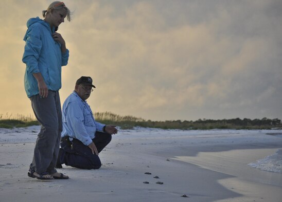 Shannon Secco and John Jennings release hatchling sea turtles Aug. 23, 2013, on Tyndall Air Force Base, Fla. The 325th Civil Engineering Squadron Natural Resources monitors and protects the sea turtles that come to Tyndall AFB’s beaches to nest. They also compile data for Florida’s monitoring system on these nests including: where the nests are located, what species of turtles laid the nest and how many successfully hatched out of the nest. Secco and Jennings are wildlife technicians with the 325th CES.
