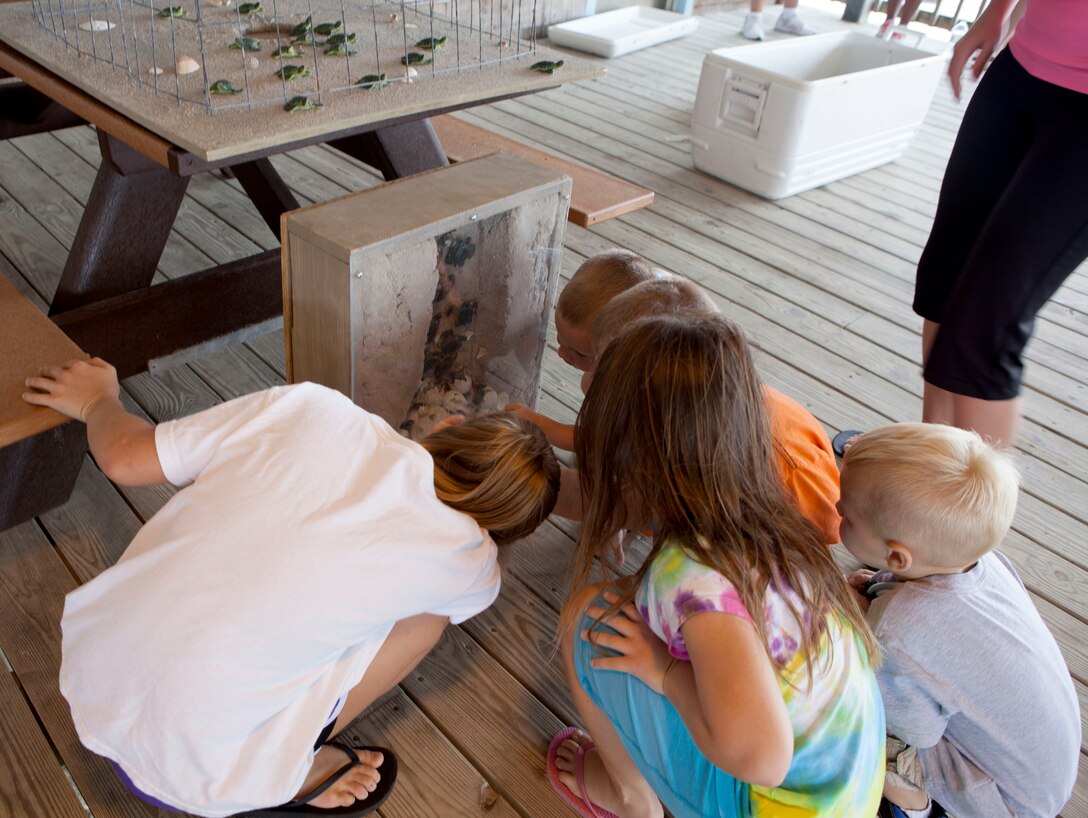 Mackenzie, Kylie, Caleb, Layden and Clay, participants of Expedition: Onslow Beach’s Wildlife presentation, look at displays showing baby turtles hatching and making their way to sea aboard Marine Corps Base Camp Lejeune, Aug. 14. Expedition: Onslow Beach’s Wildlife is a monthly summer beach program that highlights different educational aspects of life aboard Camp Lejeune.
Find us on Google + (http://gplus.to/camp.lejeune)
Follow us on Twitter (http://twitter.com/camp_lejeune)
Like us on Facebook (http://www.facebook.com/camp.lejeune)
