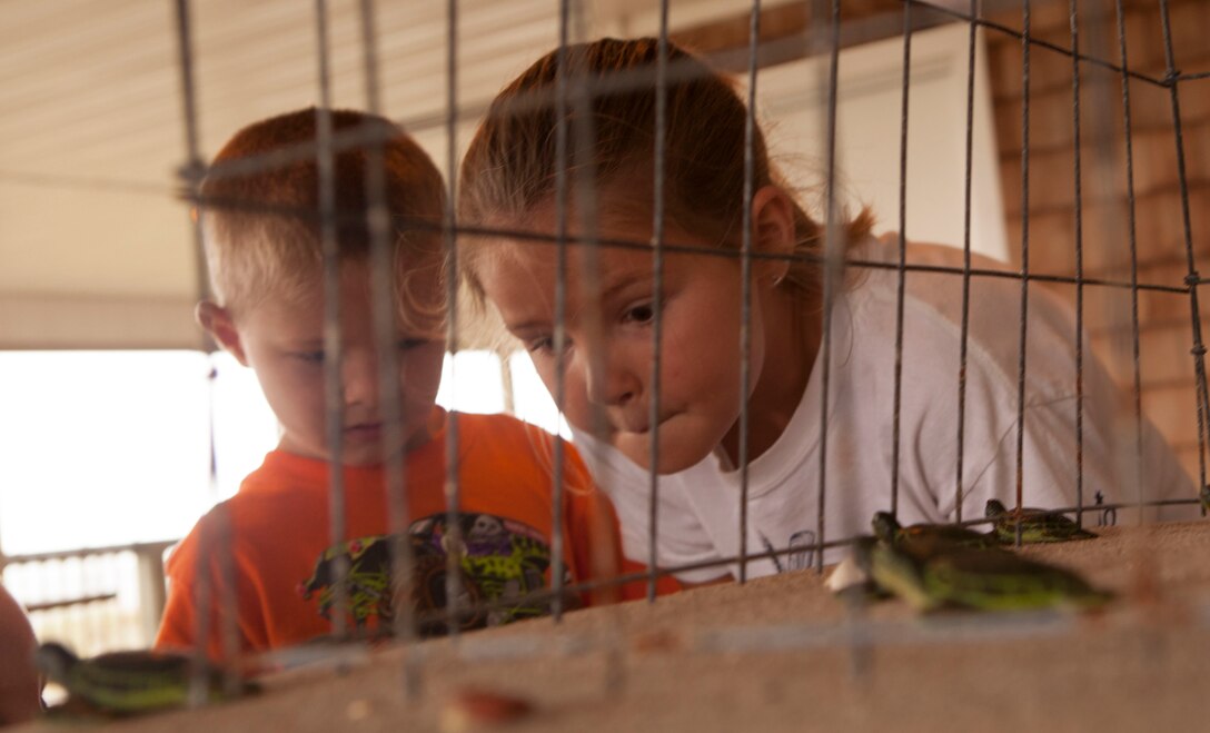 Mackenzie and Layden, participants of Expedition: Onslow Beach’s Wildlife presentation, look at displays of baby turtles hatching and making their way to sea, aboard Marine Corps Base Camp Lejeune Aug. 14. Expedition: Onslow Beach’s Wildlife is a monthly summer beach program that highlights different educational aspects of wildlife aboard Camp Lejeune.
Find us on Google + (http://gplus.to/camp.lejeune)
Follow us on Twitter (http://twitter.com/camp_lejeune)
Like us on Facebook (http://www.facebook.com/camp.lejeune)
