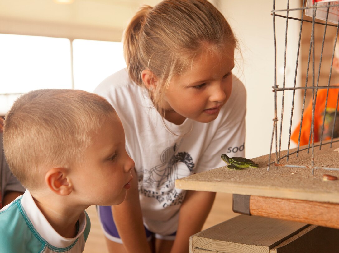 Mackenzie and Clay, participants of Expedition: Onslow Beach’s Wildlife presentation, look at displays of baby turtles hatching and making their way to sea, aboard Marine Corps Base Camp Lejeune Aug. 14. Expedition: Onslow Beach’s Wildlife is a monthly summer beach program that highlights different educational aspects of wildlife aboard Camp Lejeune.
Find us on Google + (http://gplus.to/camp.lejeune)
Follow us on Twitter (http://twitter.com/camp_lejeune)
Like us on Facebook (http://www.facebook.com/camp.lejeune)
