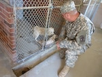 South Carolina National Guard Lt. Col. Marion Collins reassures a rescued puppy Aug. 10, 2013. The S.C. National Guard responded to the Anderson County Sheriff Office along with 28 other agencies after more than 150 dogs were discovered in a suspected puppy mill.