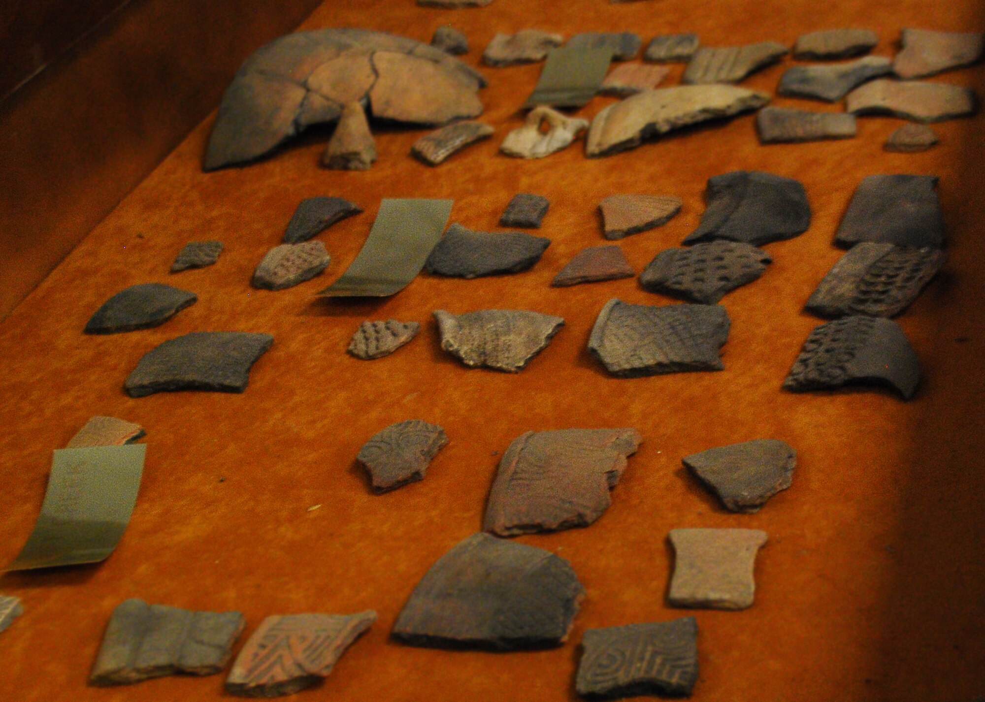 A display case at the 325th Civil Engineer Squadron Natural Resources building at Tyndall houses artifacts found on base. Artifacts are studied to learn where they came from, and who may have used them. (U.S. Air Force photo by 2nd Lt. Christopher Bowyer-Meeder)