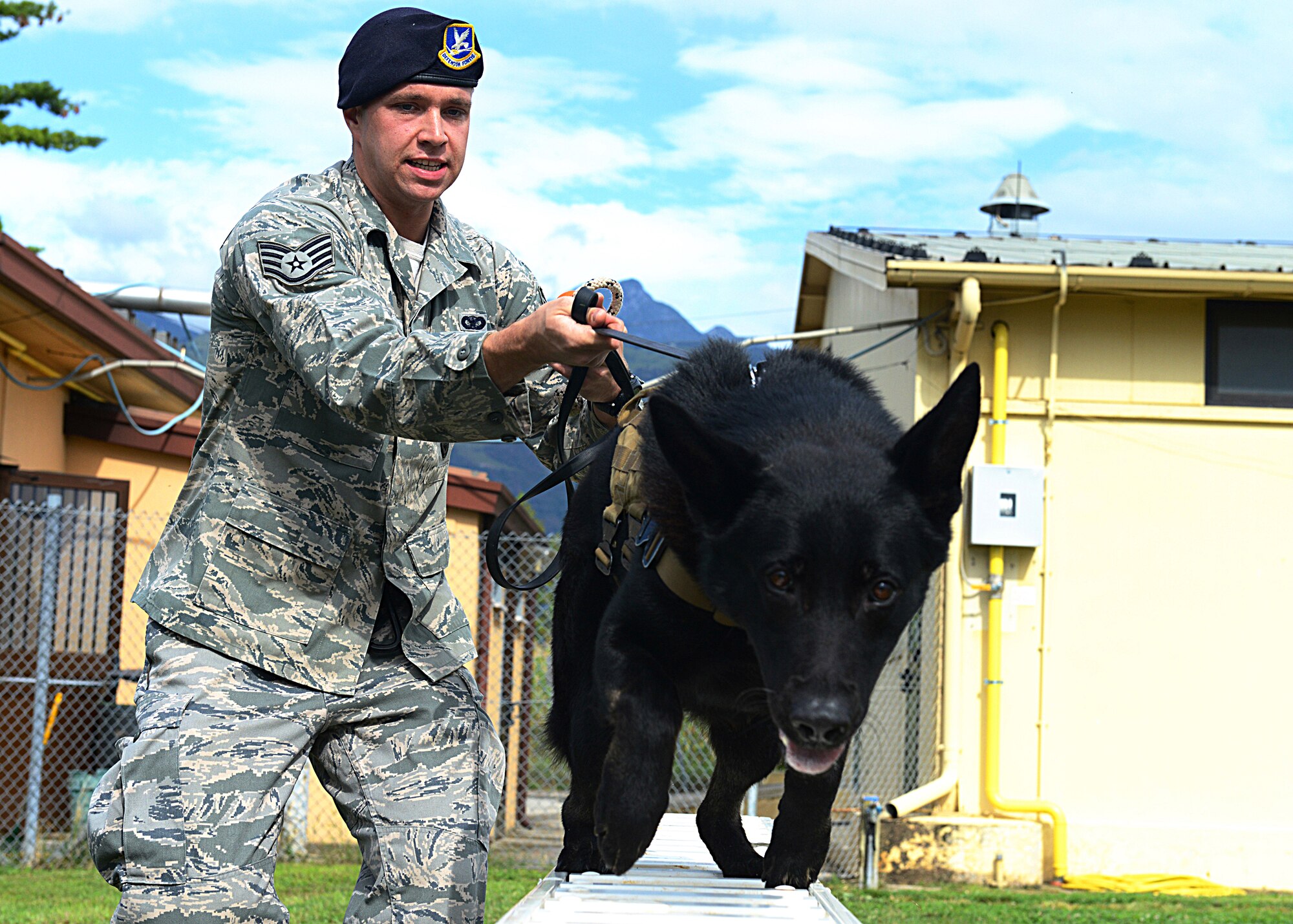 Staff Sgt. Zachary Parris, 31st Security Forces Squadron military working dog handler, runs Dox, 31st SFS MWD, through a confidence course, Aug. 28, 2013, at Aviano Air Base, Italy. The confidence course is a part of obedience training, where the dog is familiarized with commands from their new handler. (U.S. Air Force photo/Airman Ryan Conroy) 