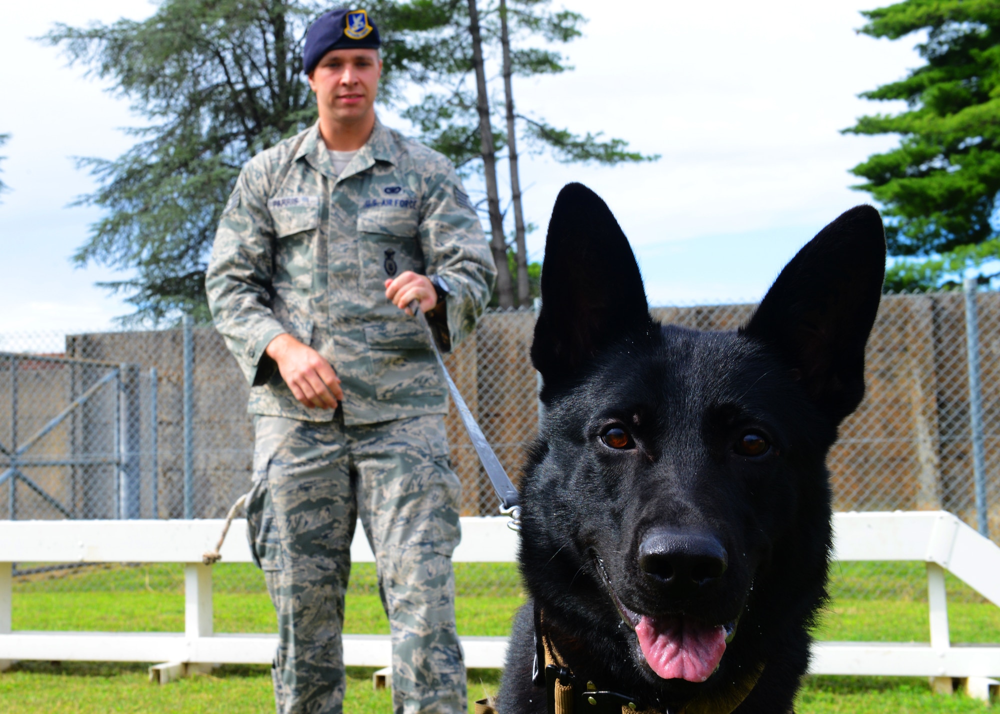 Staff Sgt. Zachary Parris, 31st Security Forces Squadron military working dog handler, and Dox, 31st SFS MWD, take a short break during training, Aug. 28, 2013, at Aviano Air Base, Italy. When a MWD arrives on station, a kennel master pairs them to a handler with similar personalities. (U.S. Air Force photo/Airman Ryan Conroy) 