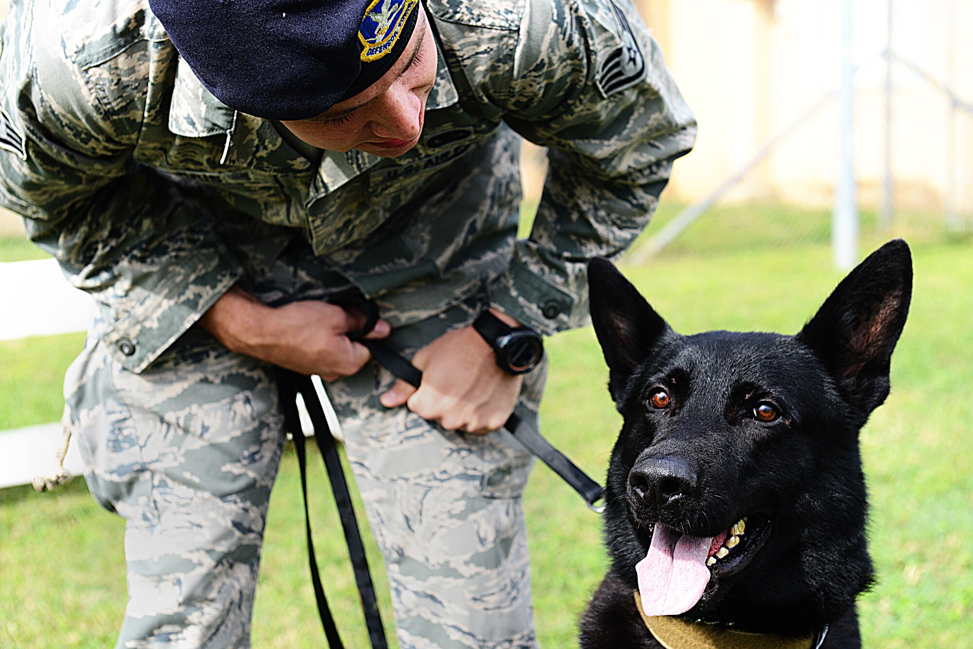 Staff Sgt. Zachary Parris, 31st Security Forces Squadron military working dog handler, encourages Dox, 31st SFS MWD, during a confidence course, Aug. 28, 2013, at Aviano Air Base, Italy. The initial phase of the certification training process is having the handler build rapport with the dog. (U.S. Air Force photo/Airman Ryan Conroy) 