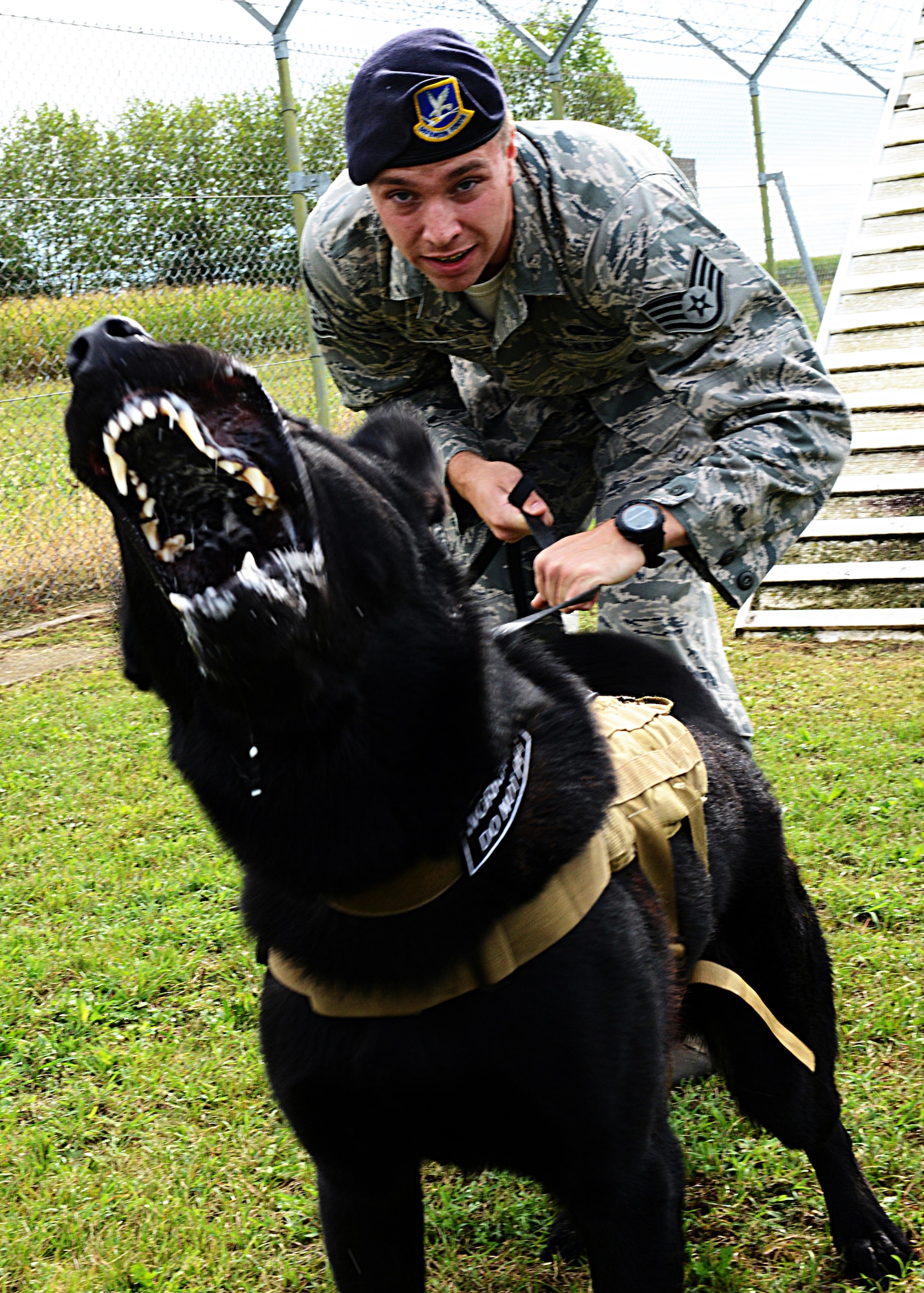 Staff Sgt. Zachary Parris, 31st Security Forces Squadron military working dog handler, restrains Dox, 31st SFS MWD, during bite training, Aug. 28, 2013, at Aviano Air Base, Italy.  Training a MWD for patrol is done through bite training, identifying threats or having the dog alert the handler in the presence of danger. (U.S. Air Force photo/Airman Ryan Conroy) 